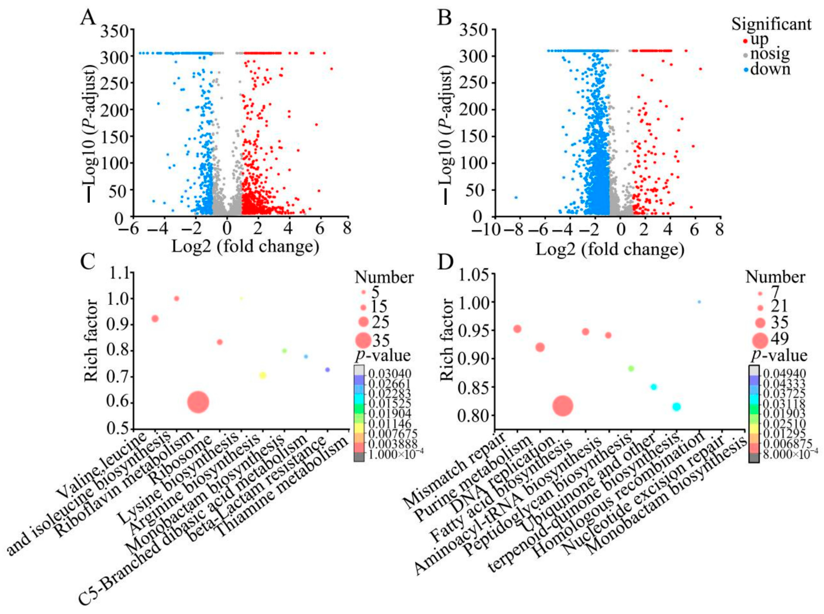 Foods 14 03479 g004 Foods 14 03479 g004