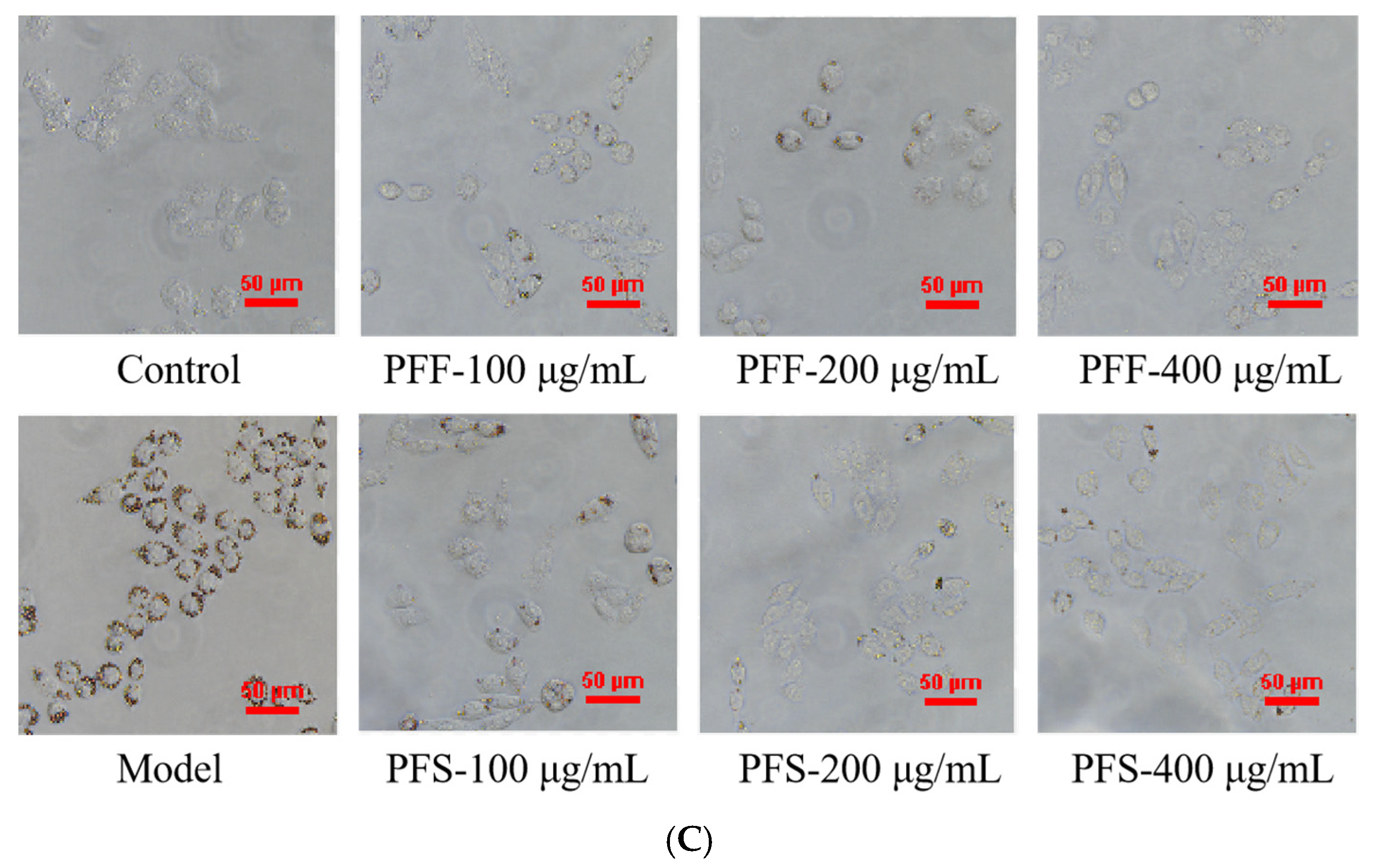 Foods 14 03499 g002b