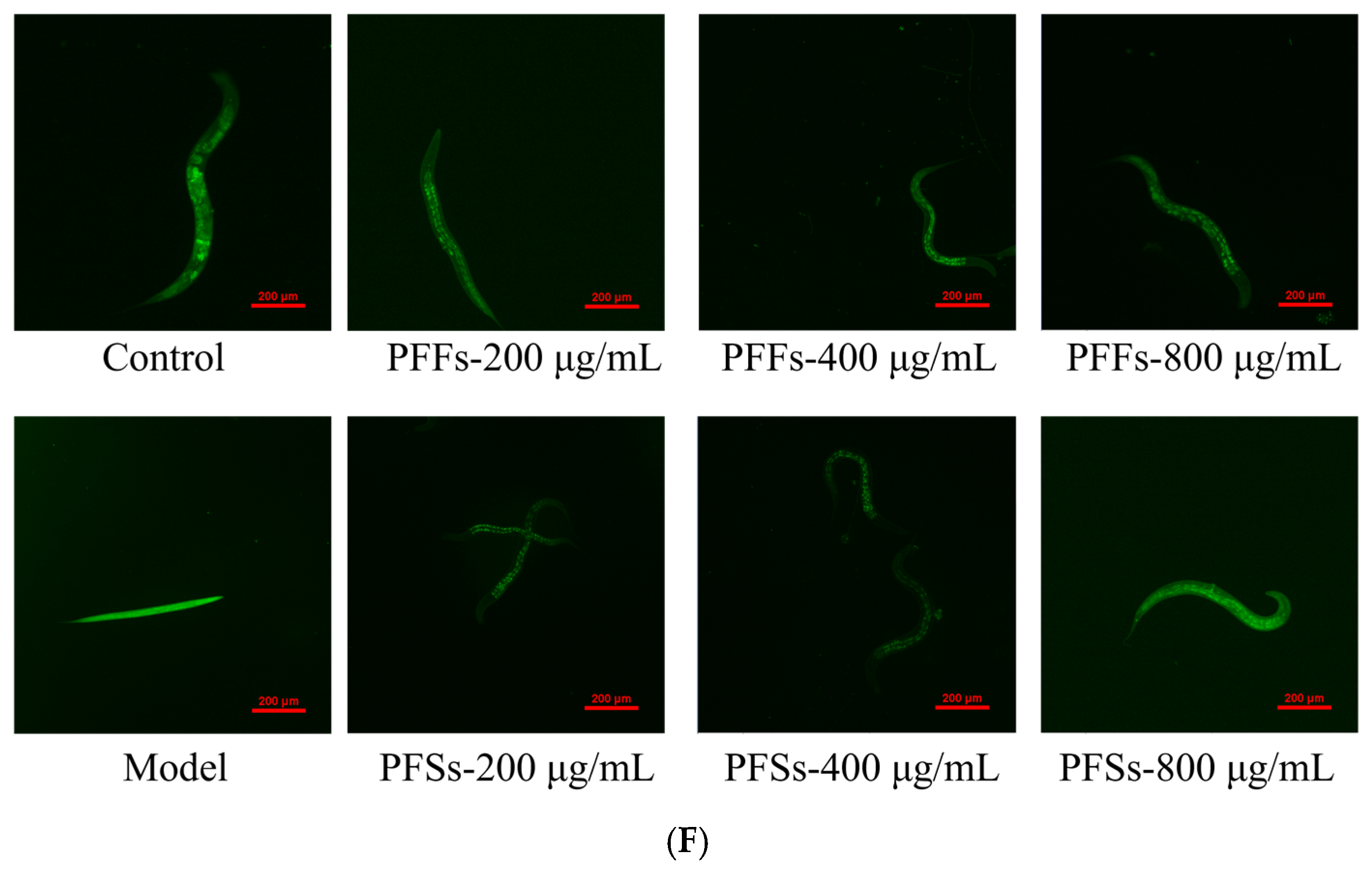 Foods 14 03499 g006b