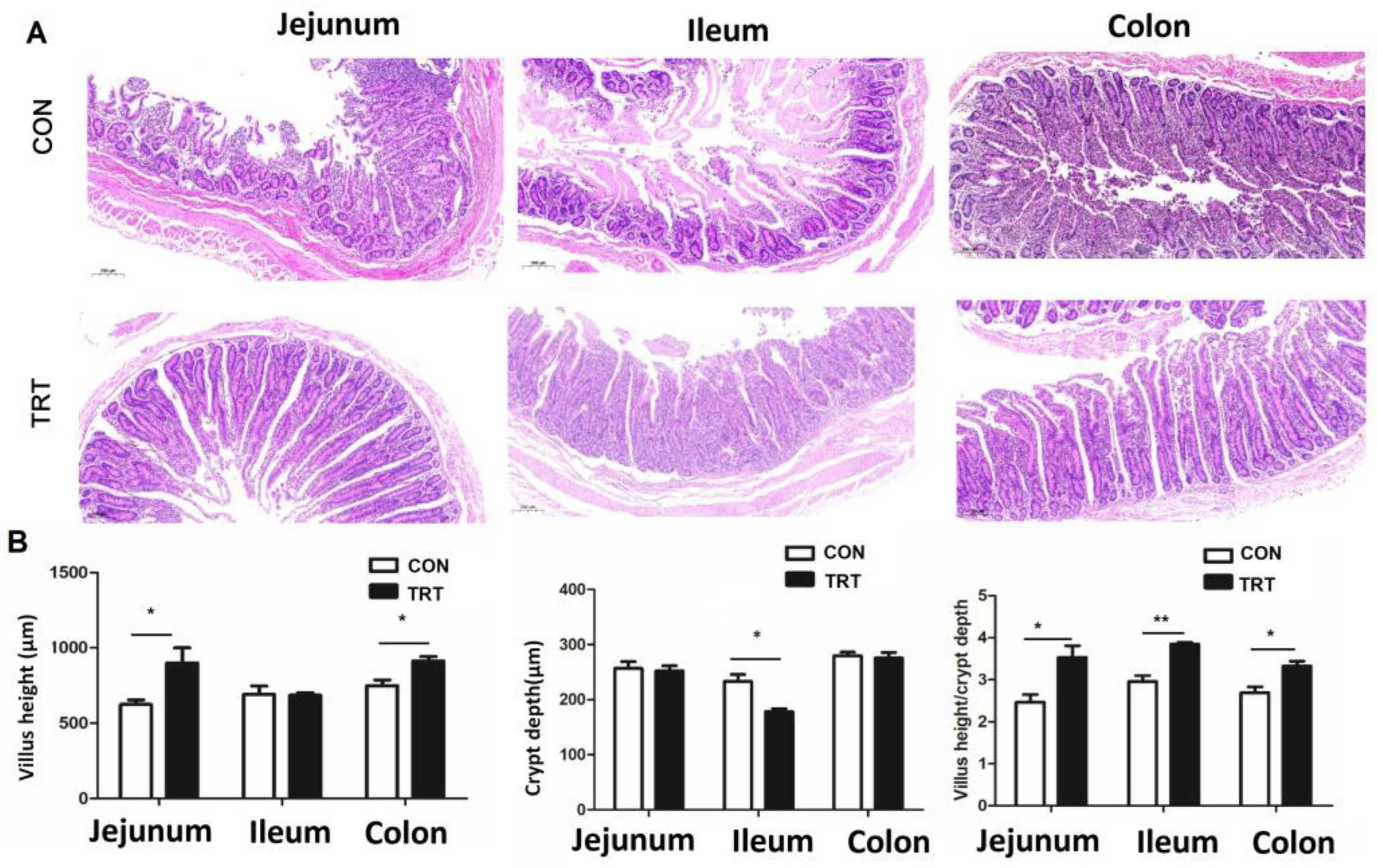 Foods 14 03512 g002 Foods 14 03512 g002