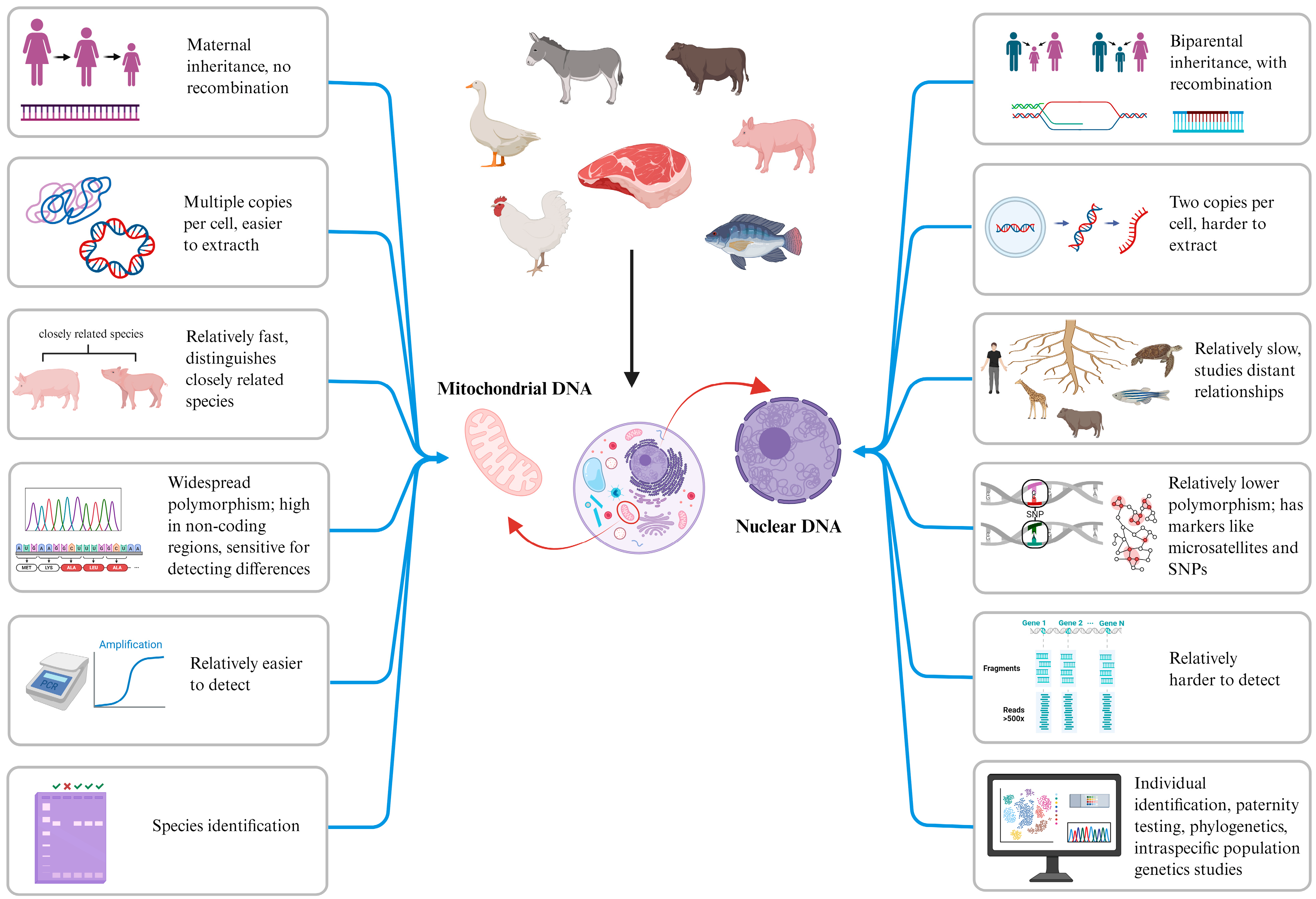 Foods 14 03522 g001 Foods 14 03522 g001