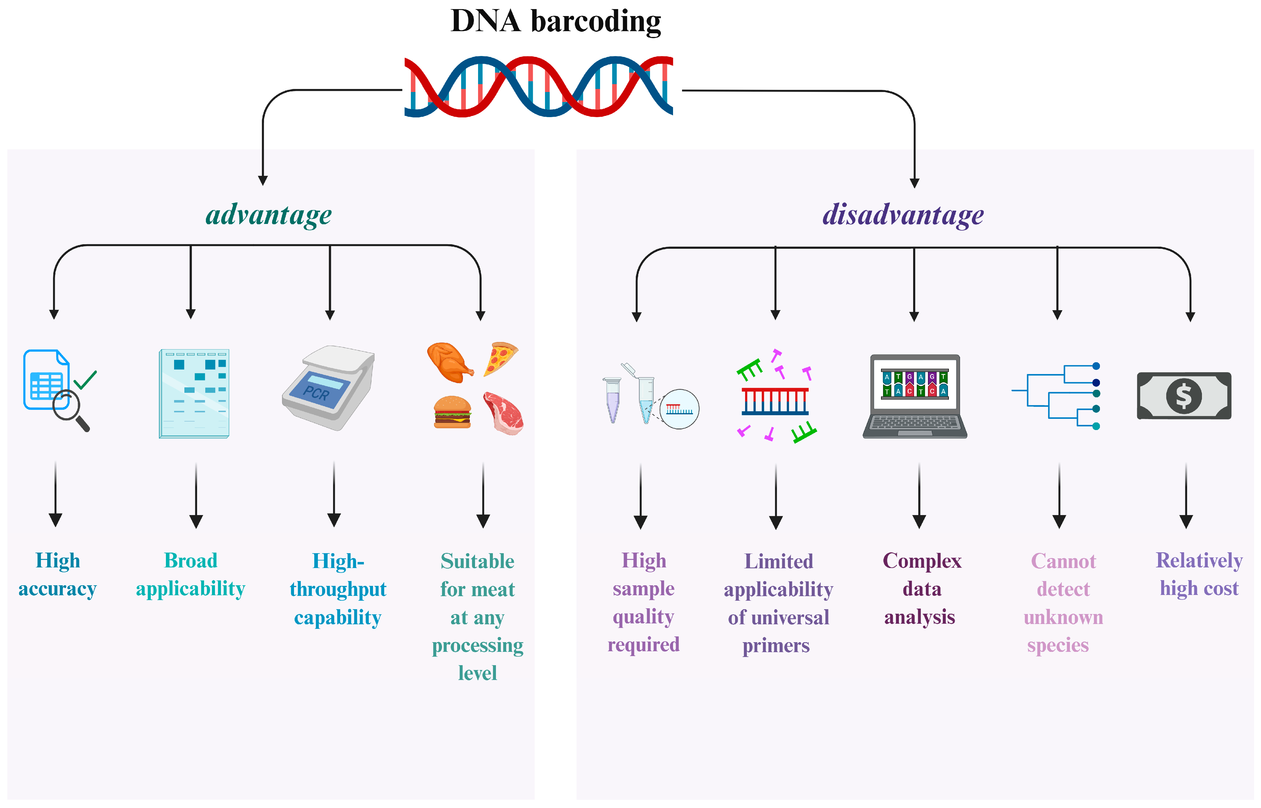 Foods 14 03522 g002 Foods 14 03522 g002