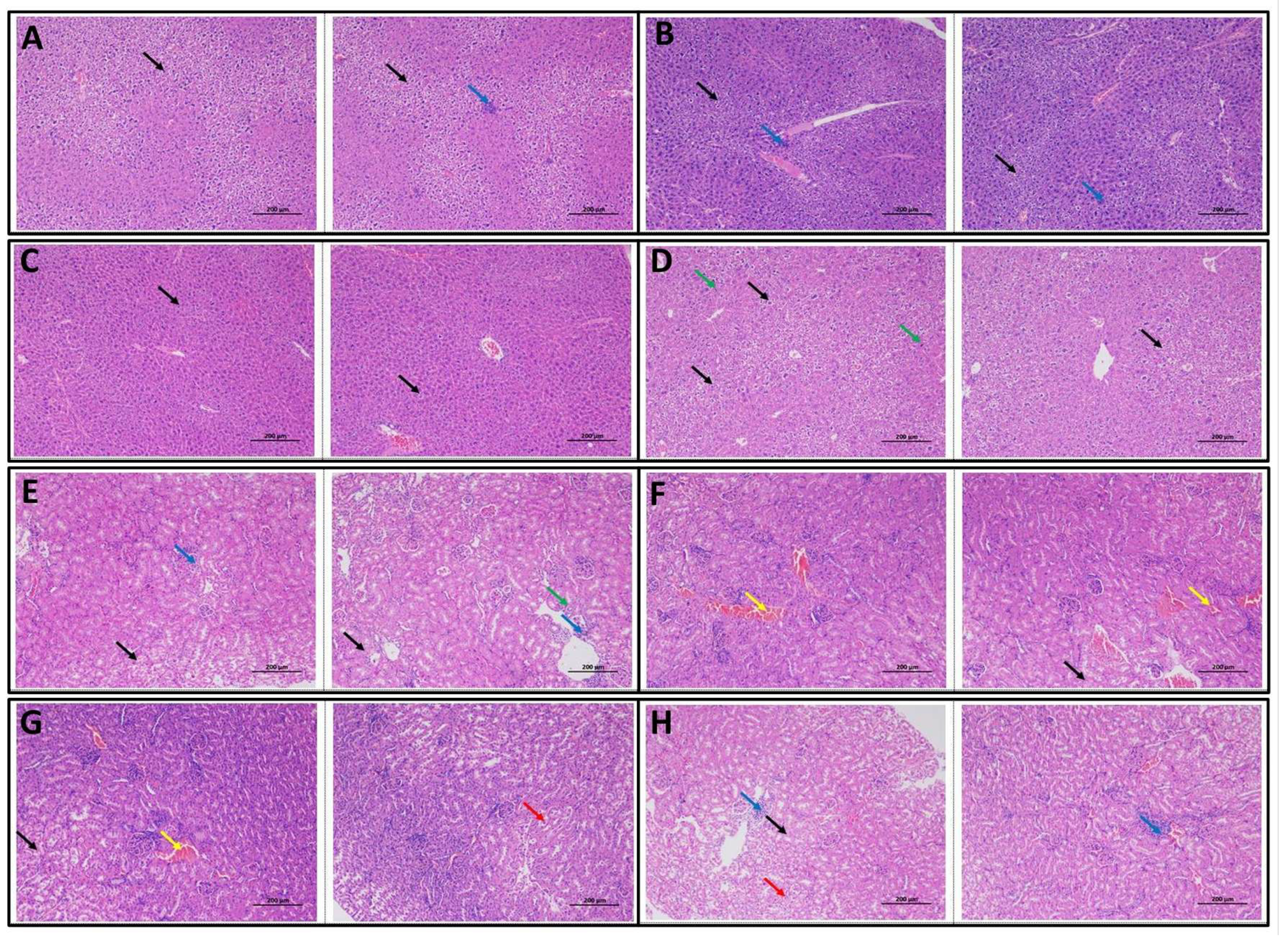 Foods 14 03528 g005 Foods 14 03528 g005