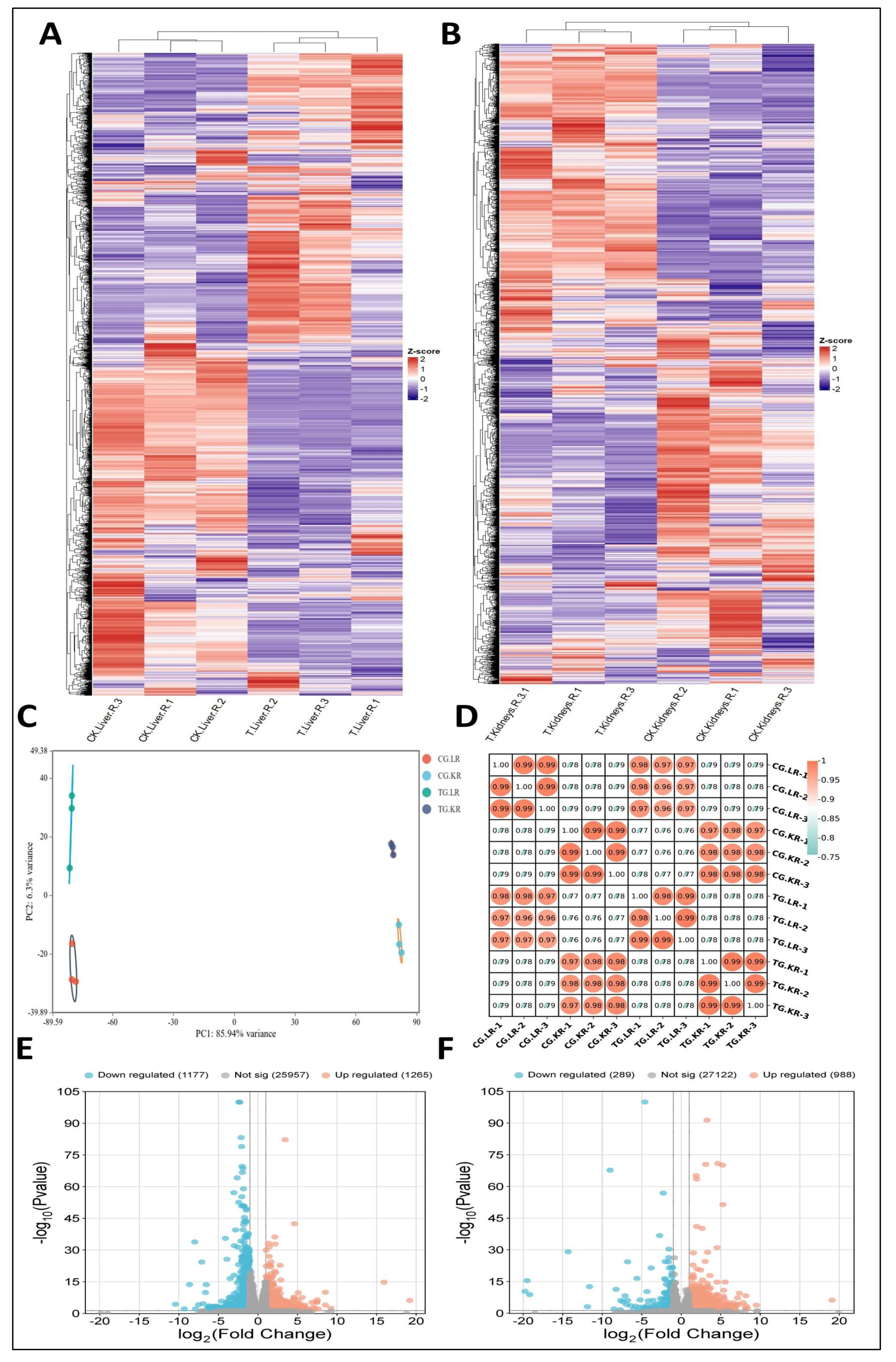 Foods 14 03528 g006 Foods 14 03528 g006