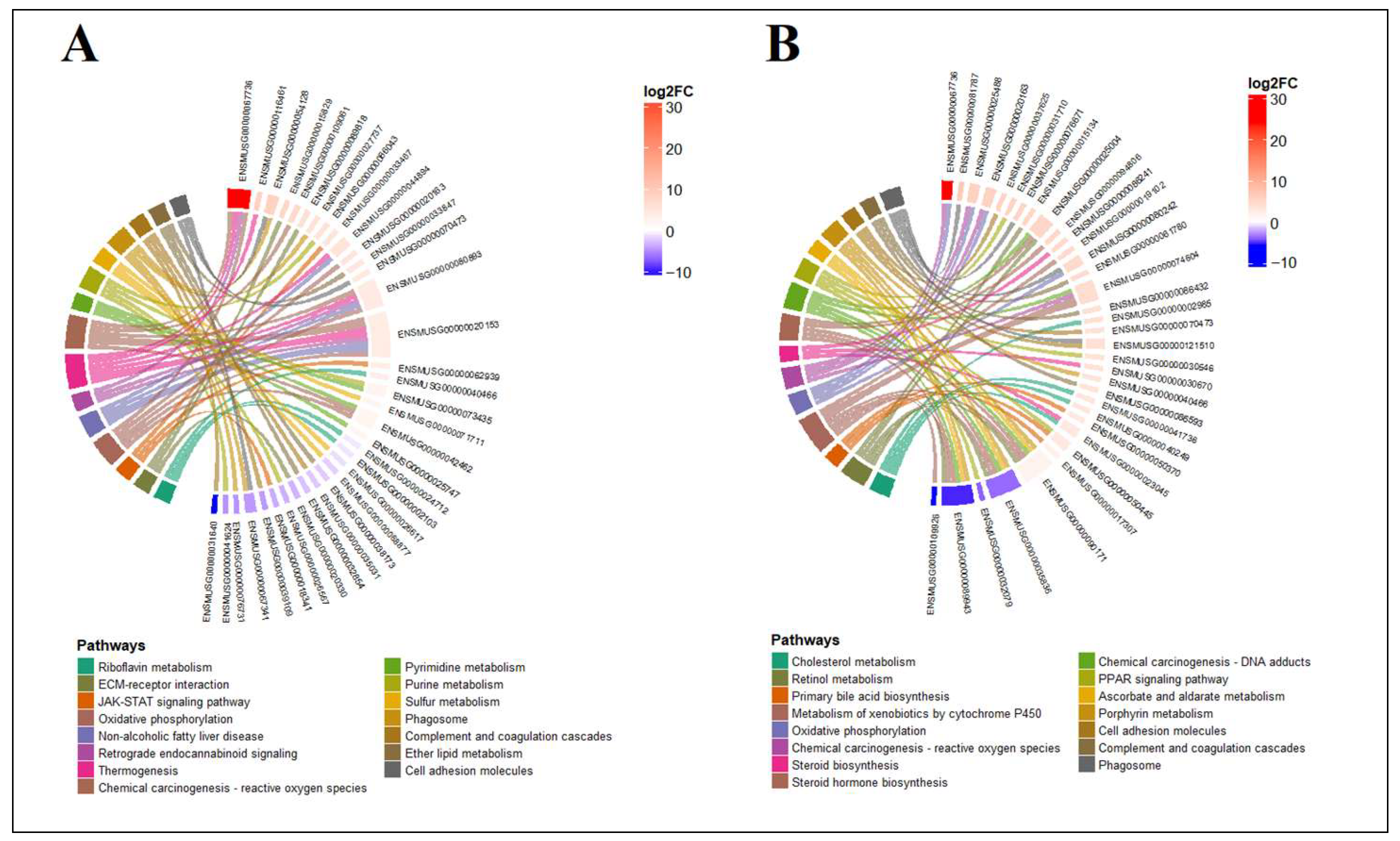 Foods 14 03528 g007 Foods 14 03528 g007