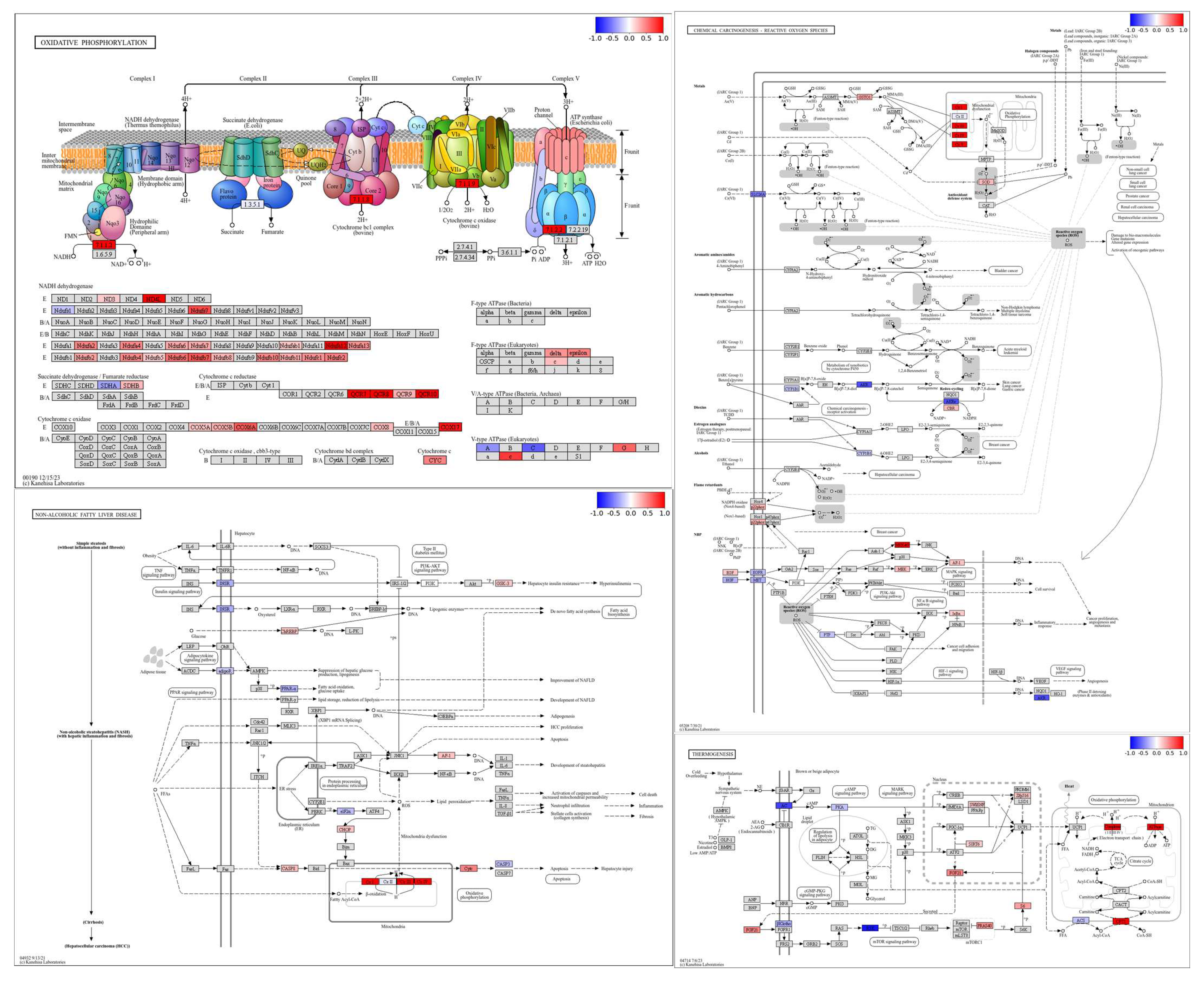 Foods 14 03528 g008 Foods 14 03528 g008