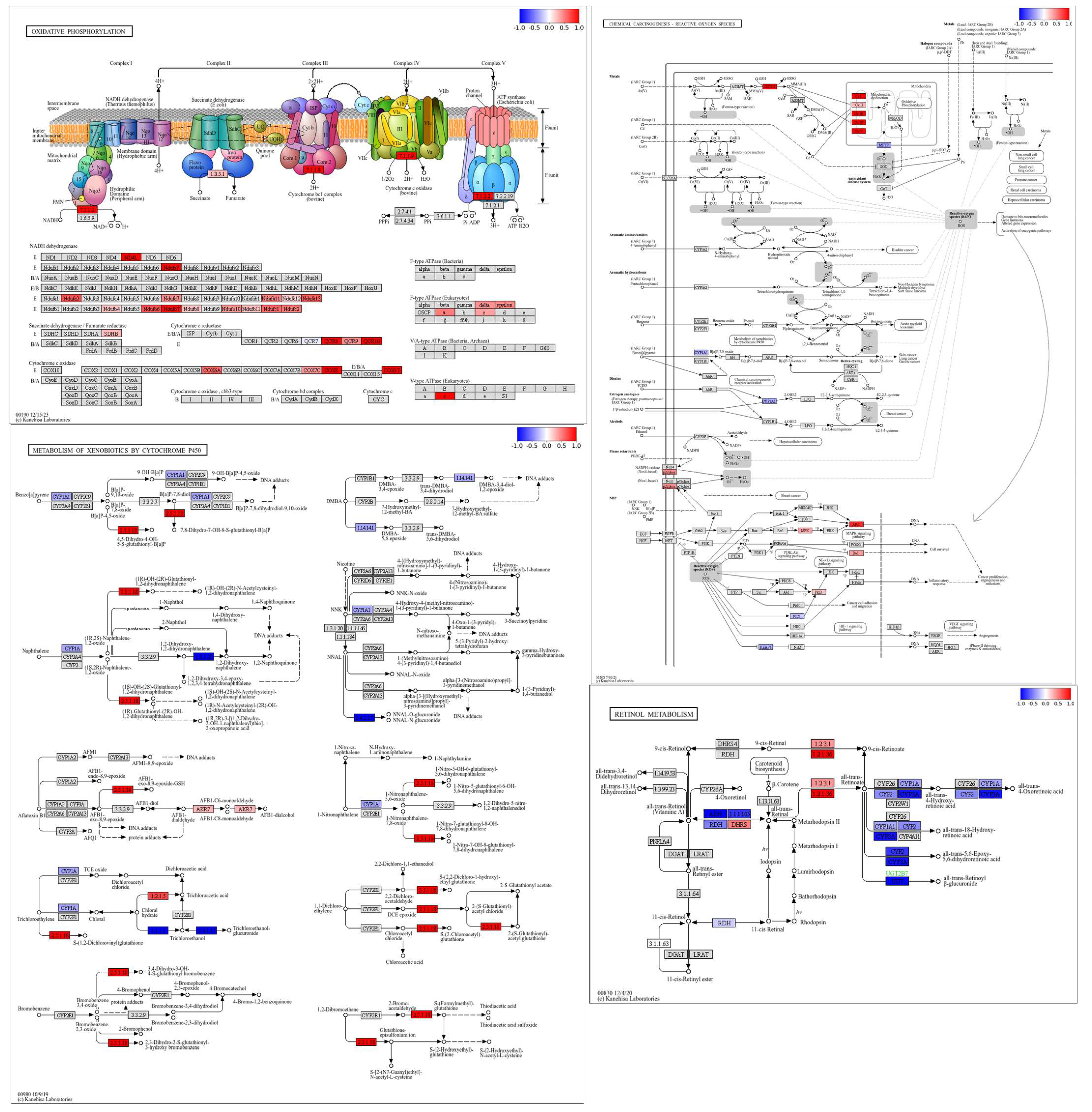 Foods 14 03528 g009 Foods 14 03528 g009