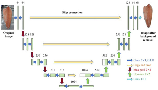 Computer Vision-Based Deep Learning Modeling for Salmon Part
