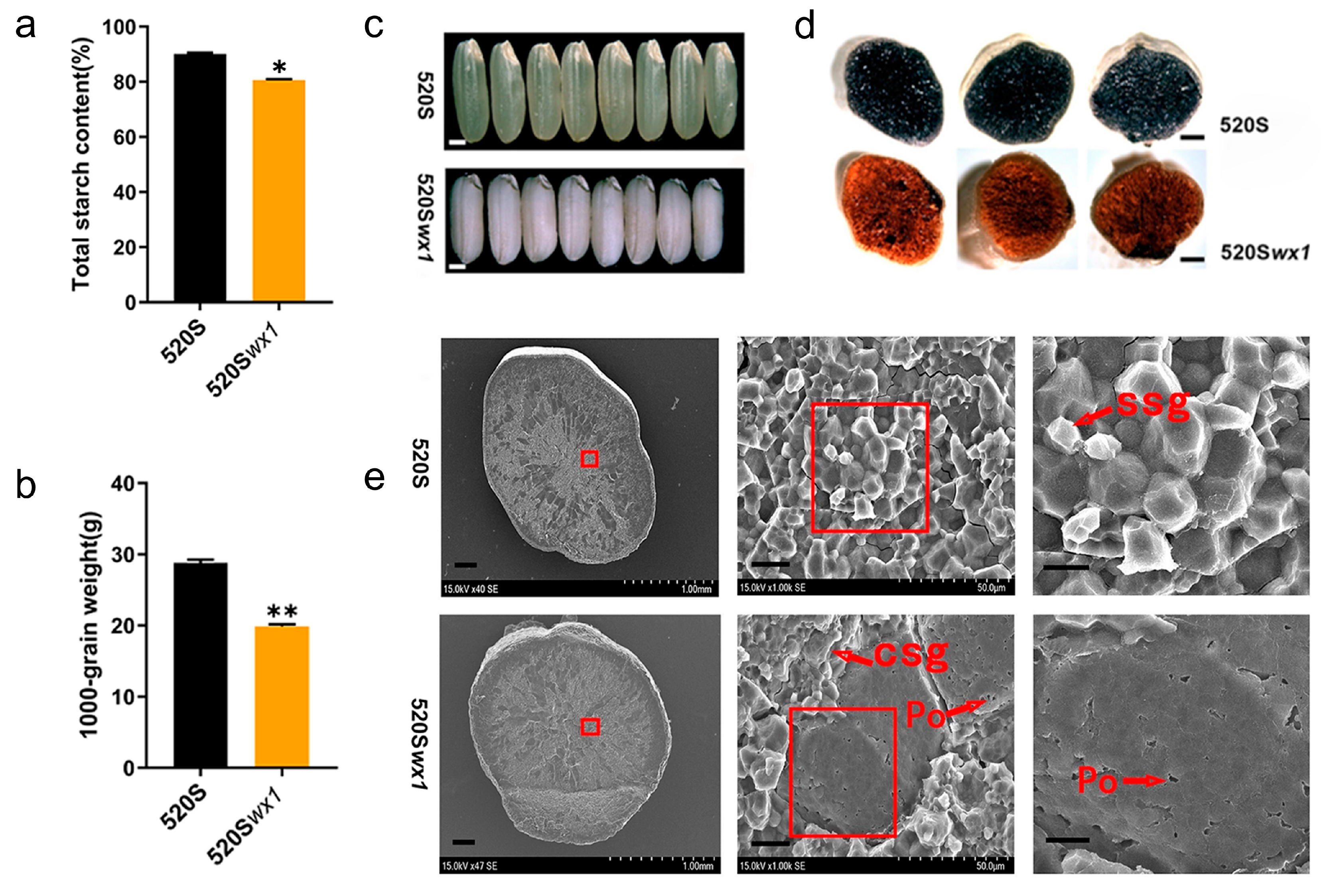 Foods 14 03530 g002 Foods 14 03530 g002