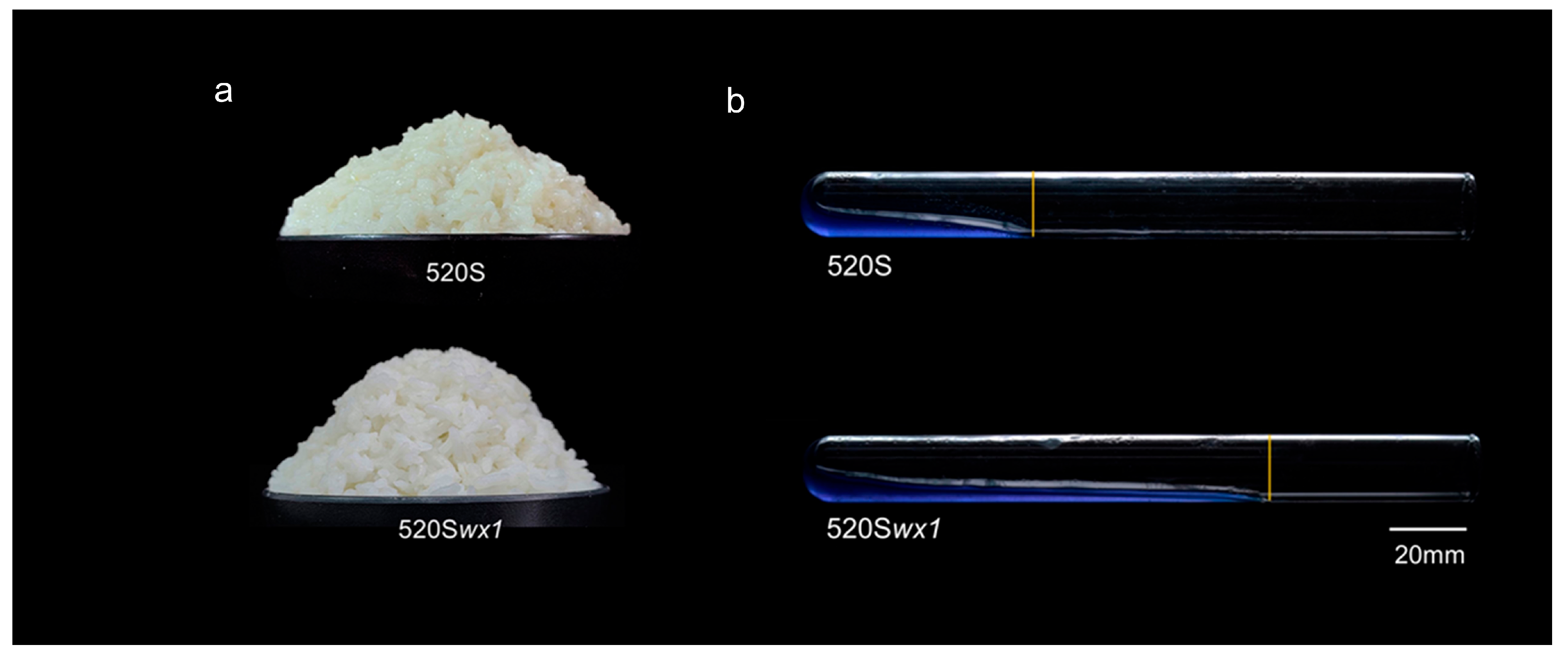 Foods 14 03530 g003 Foods 14 03530 g003