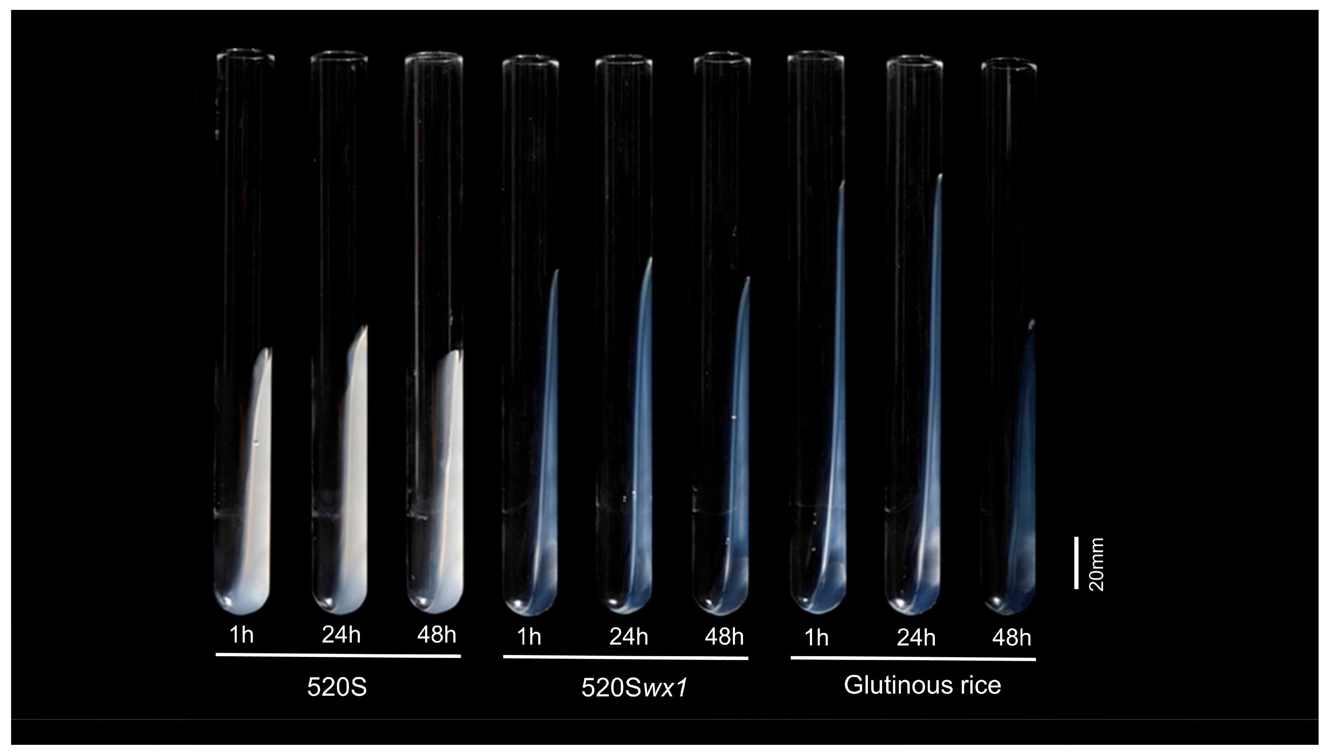 Foods 14 03530 g004 Foods 14 03530 g004