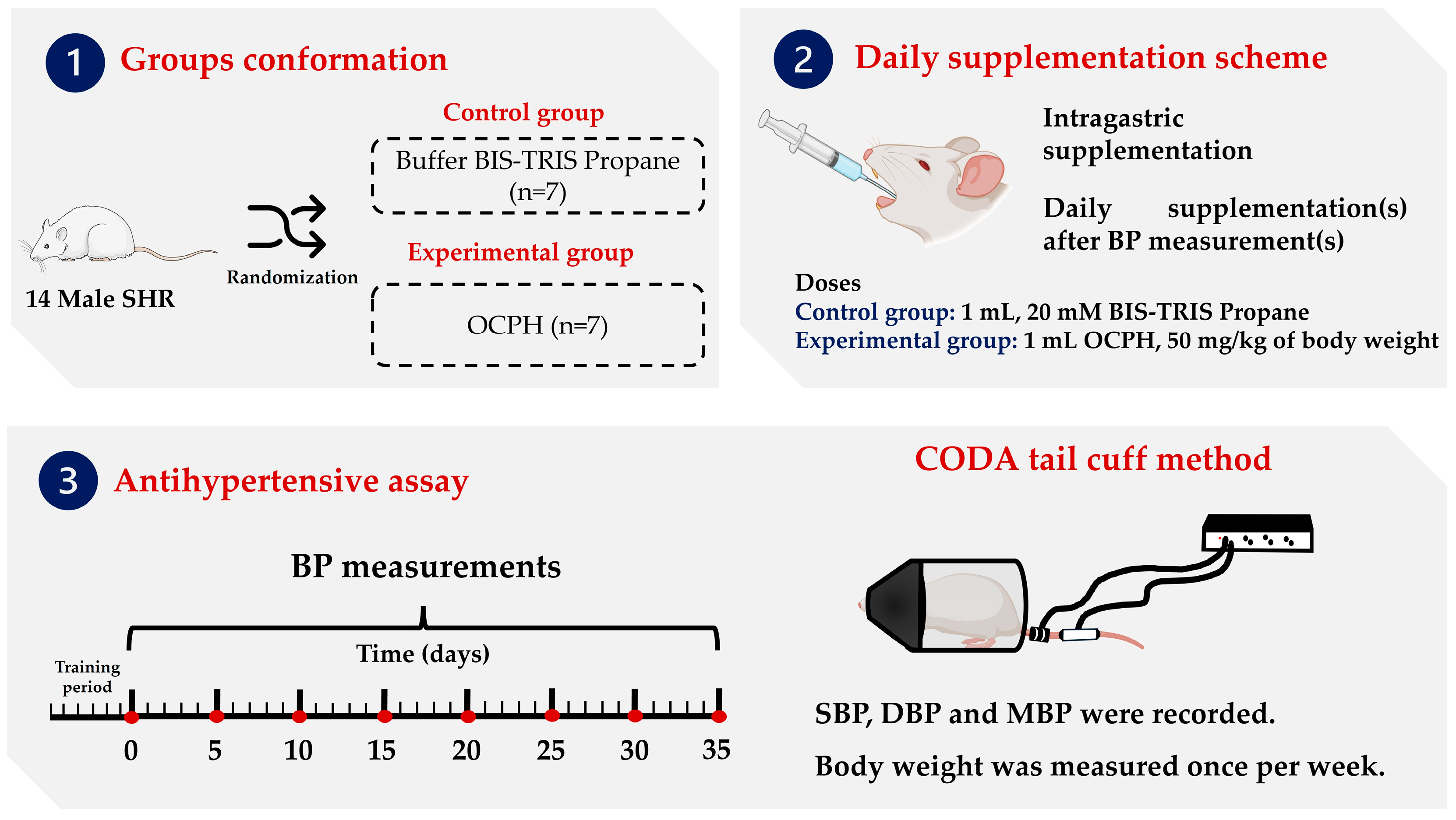 Foods 14 03537 g001 Foods 14 03537 g001
