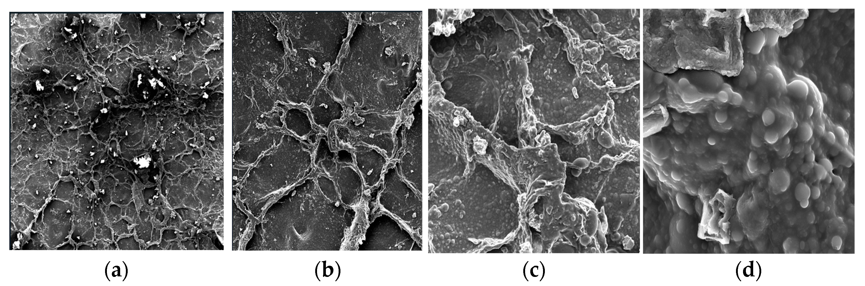 Foods 14 03542 g003 Foods 14 03542 g003