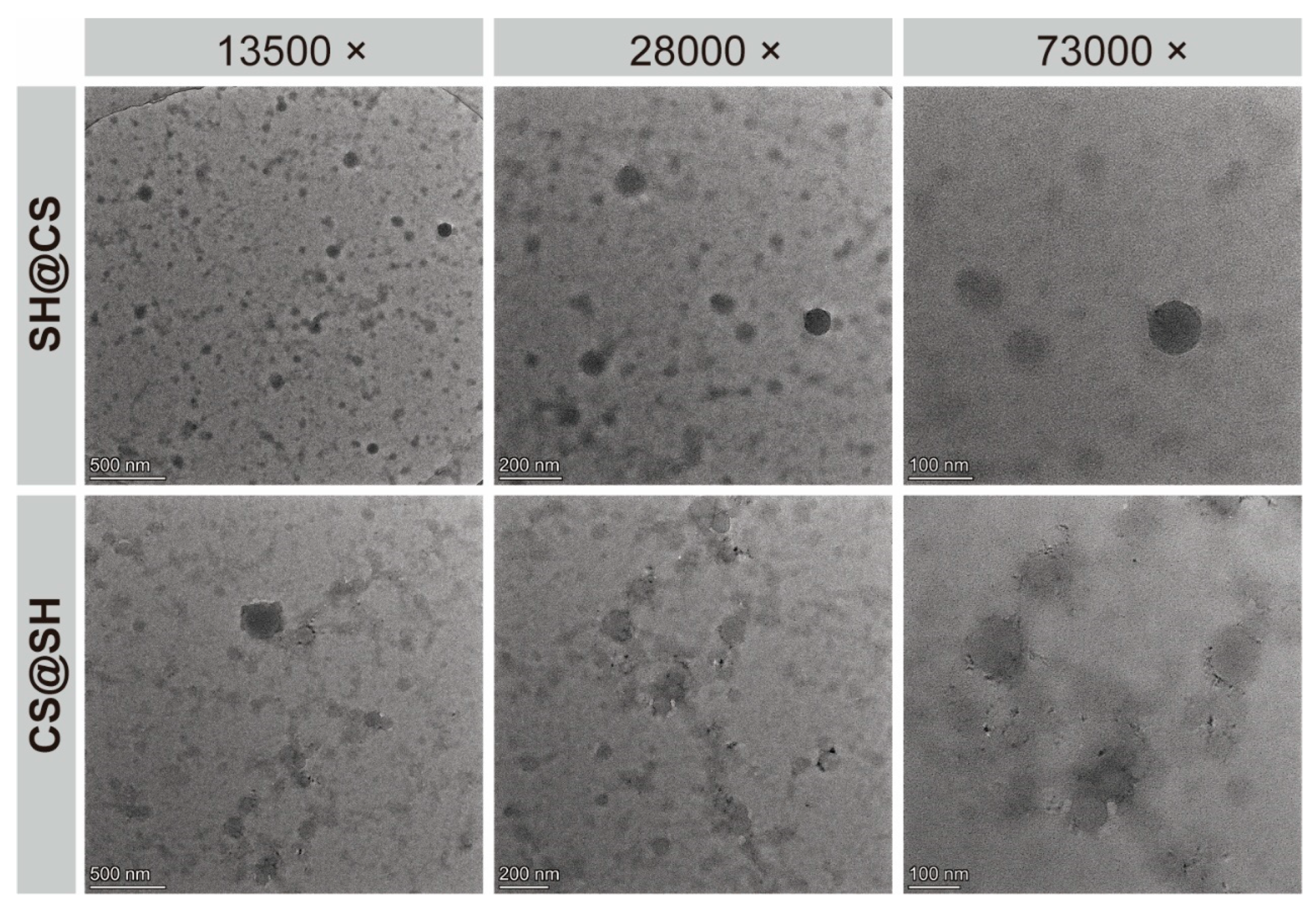 Foods 14 03556 g003 Foods 14 03556 g003