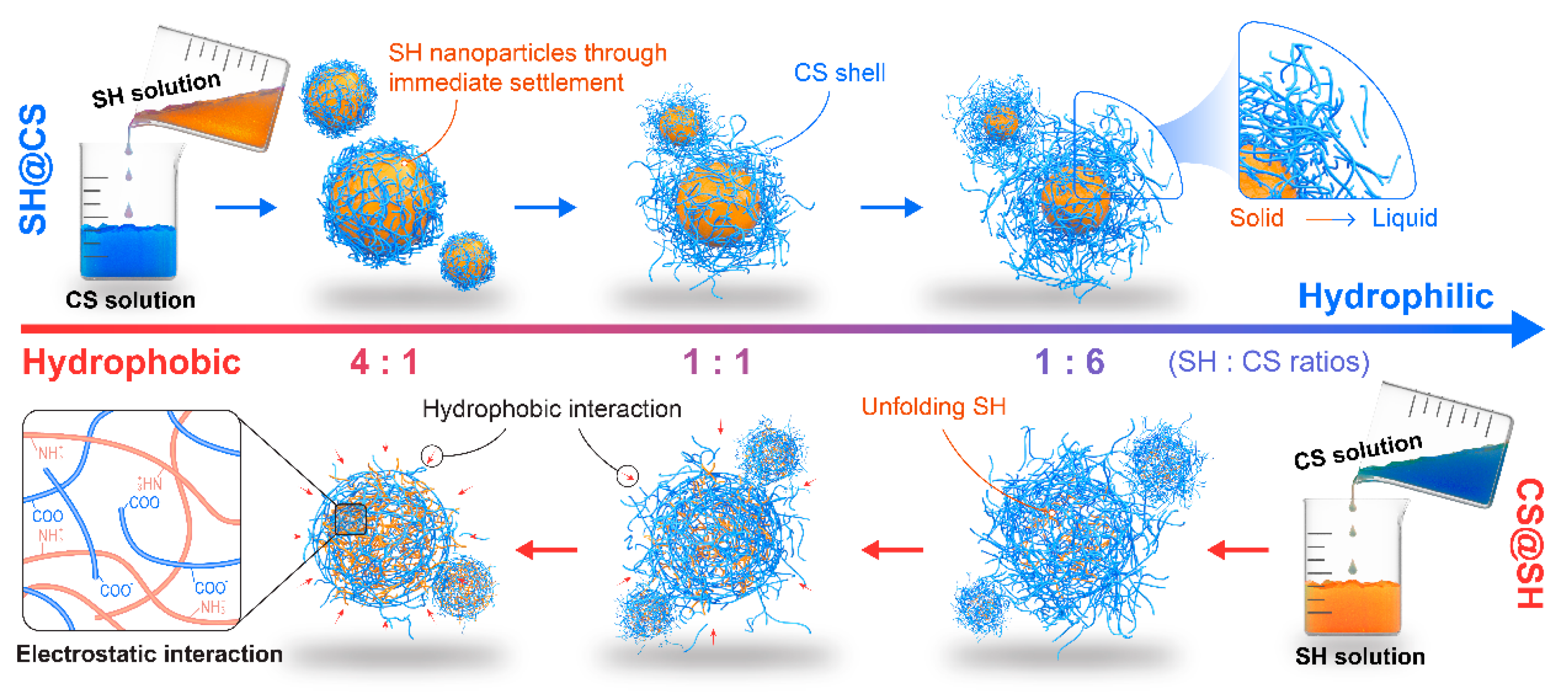 Foods 14 03556 g006 Foods 14 03556 g006