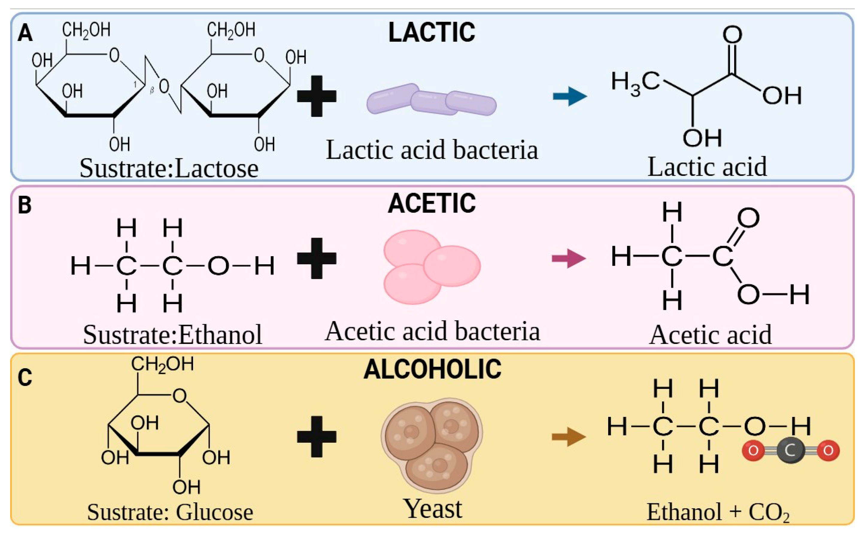 Foods 14 03576 g001 Foods 14 03576 g001