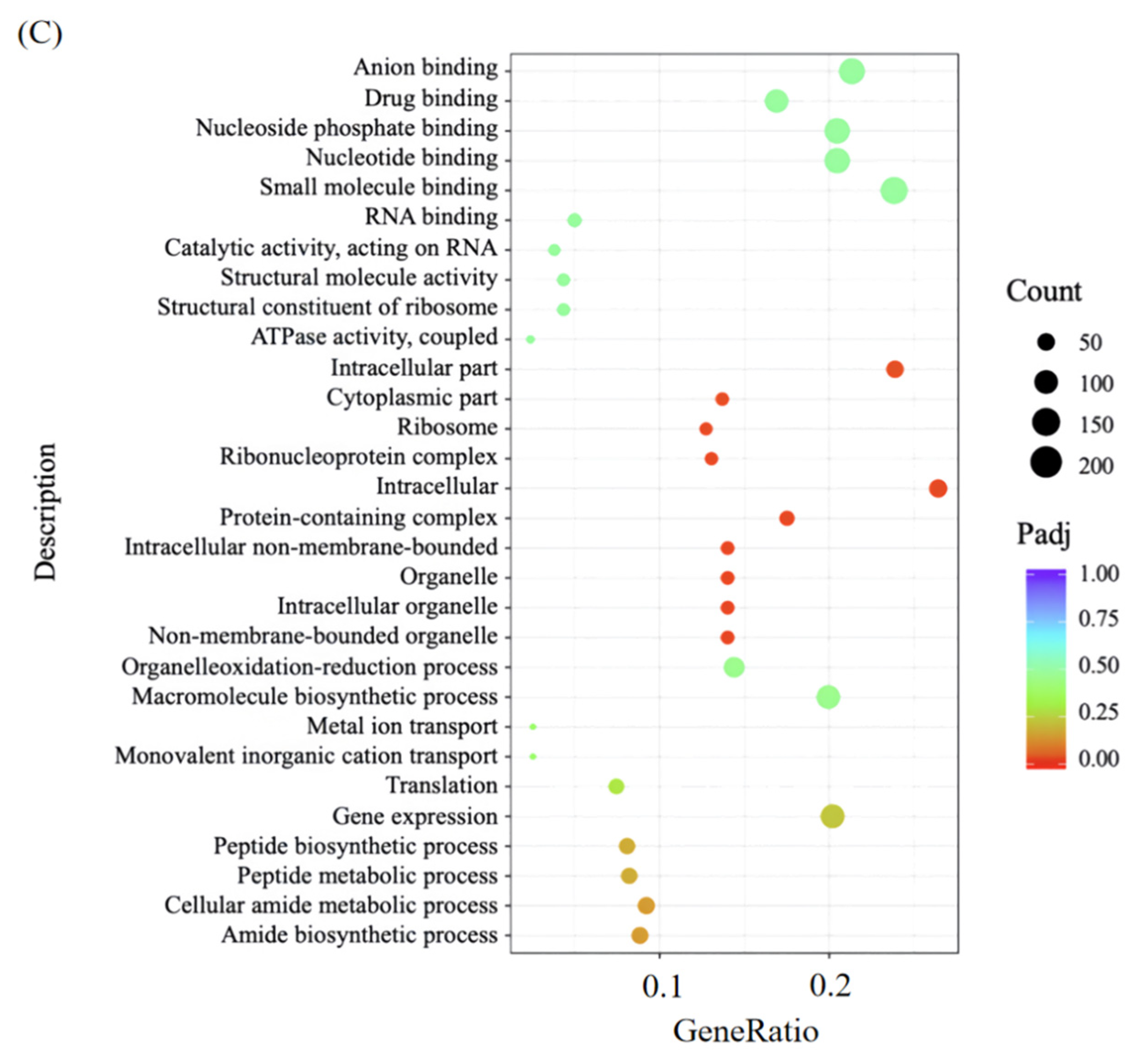 Foods 14 03589 g007b