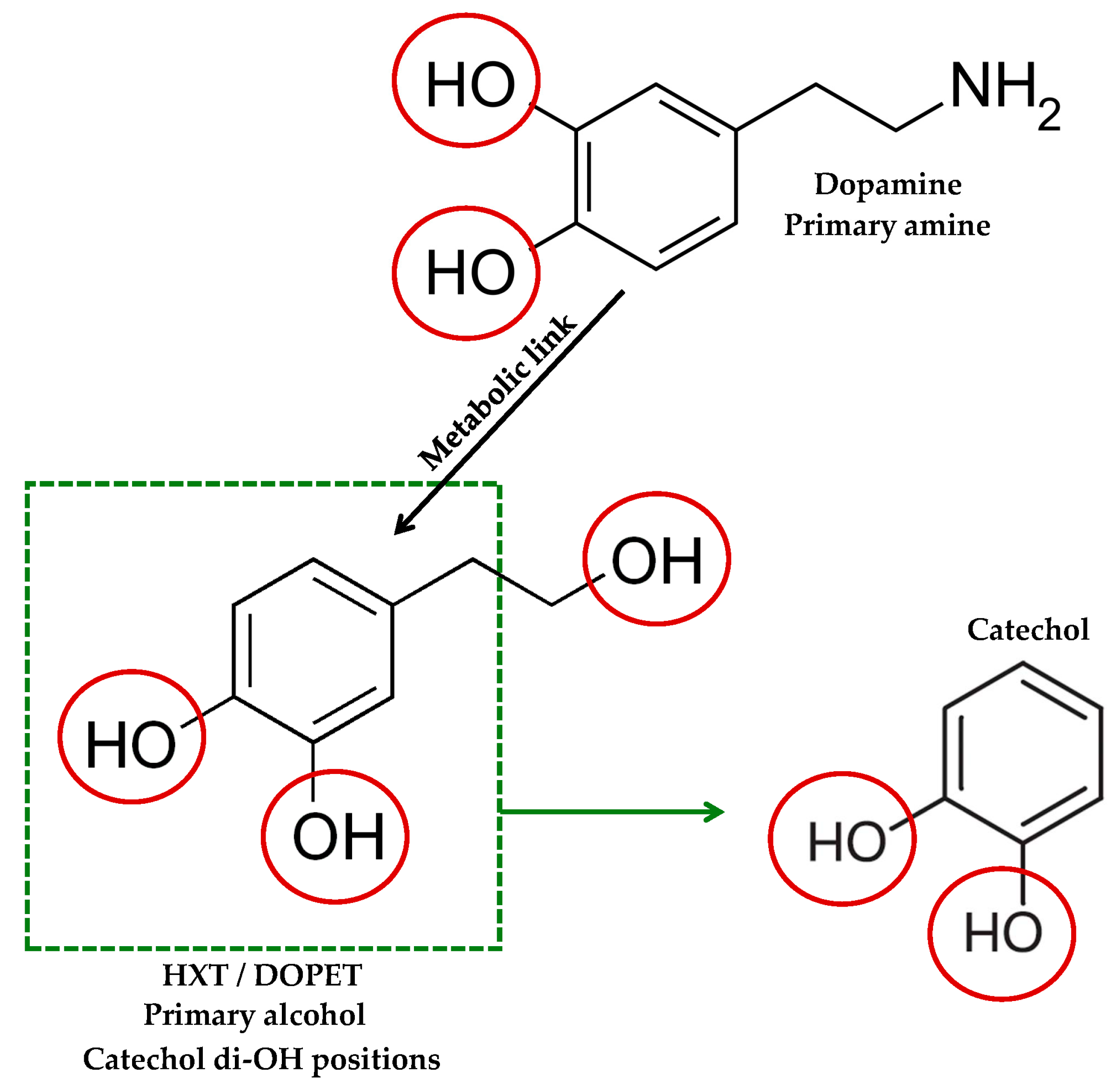 Foods 14 03624 g001 Foods 14 03624 g001