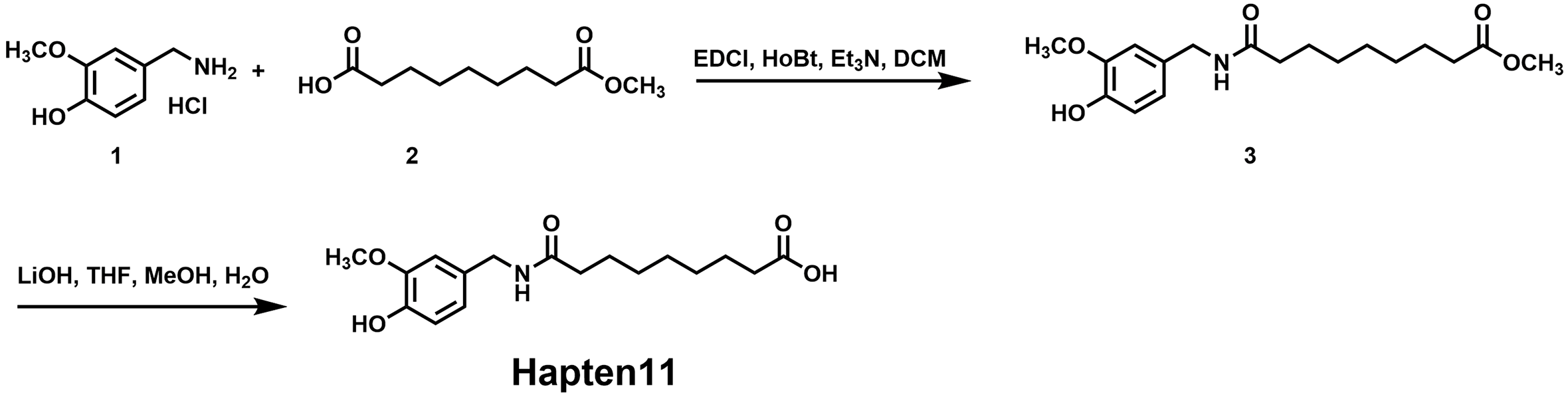 Foods 14 03634 g001 Foods 14 03634 g001