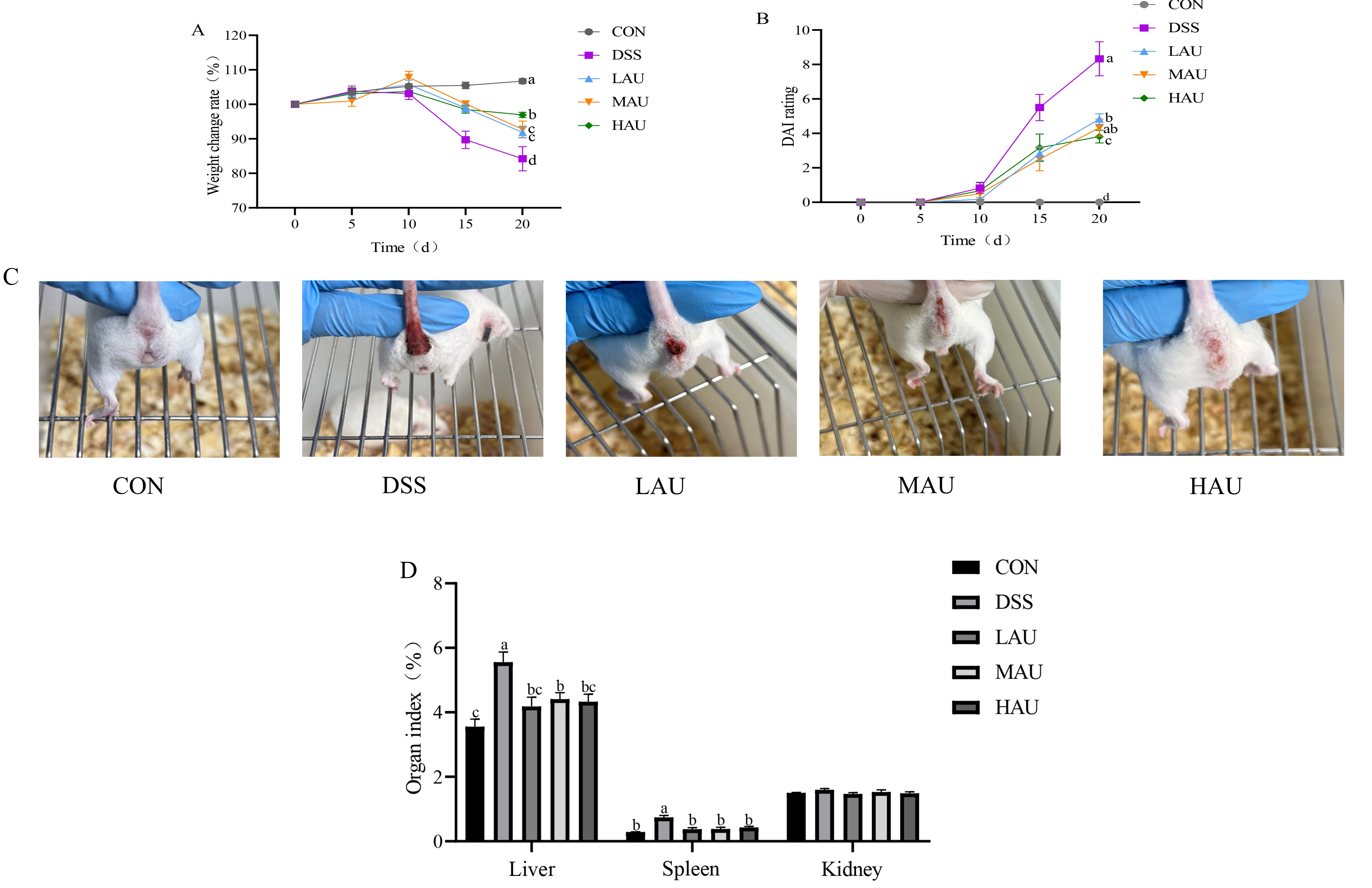 Foods 14 03648 g001 Foods 14 03648 g001