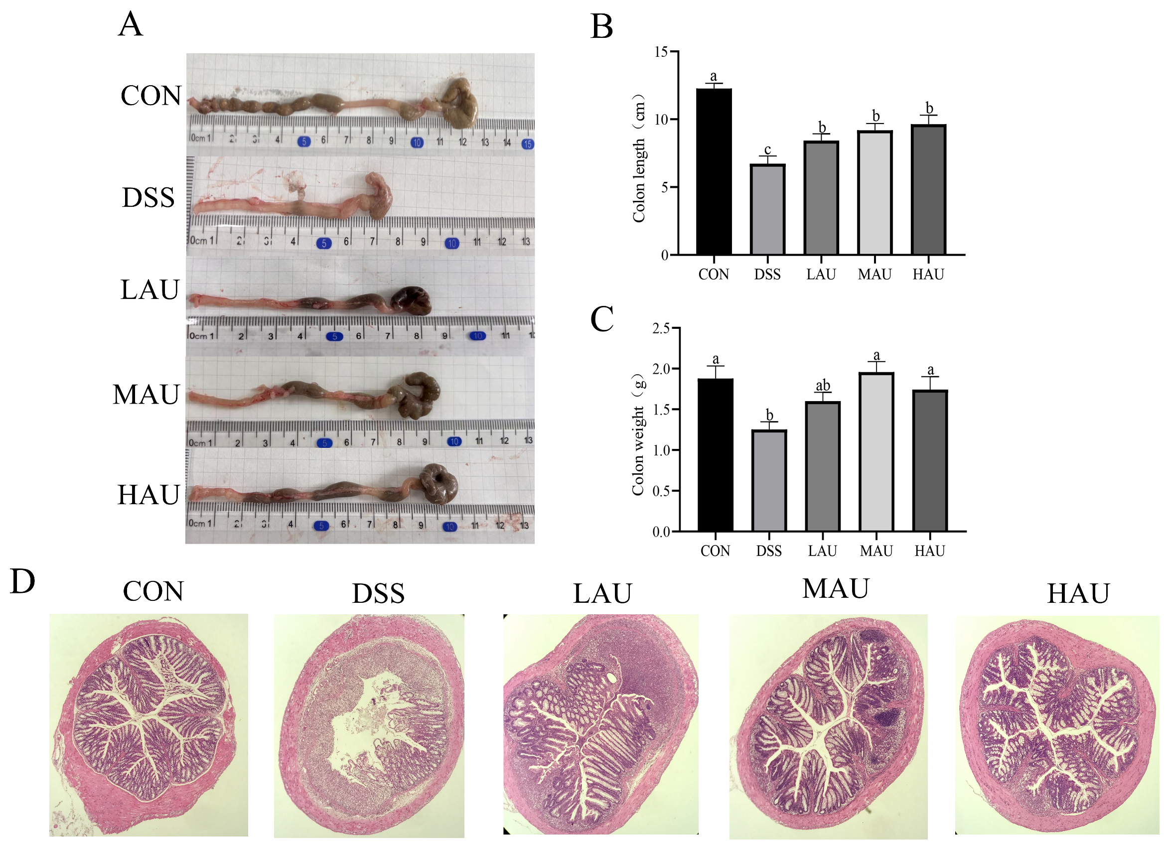 Foods 14 03648 g002 Foods 14 03648 g002
