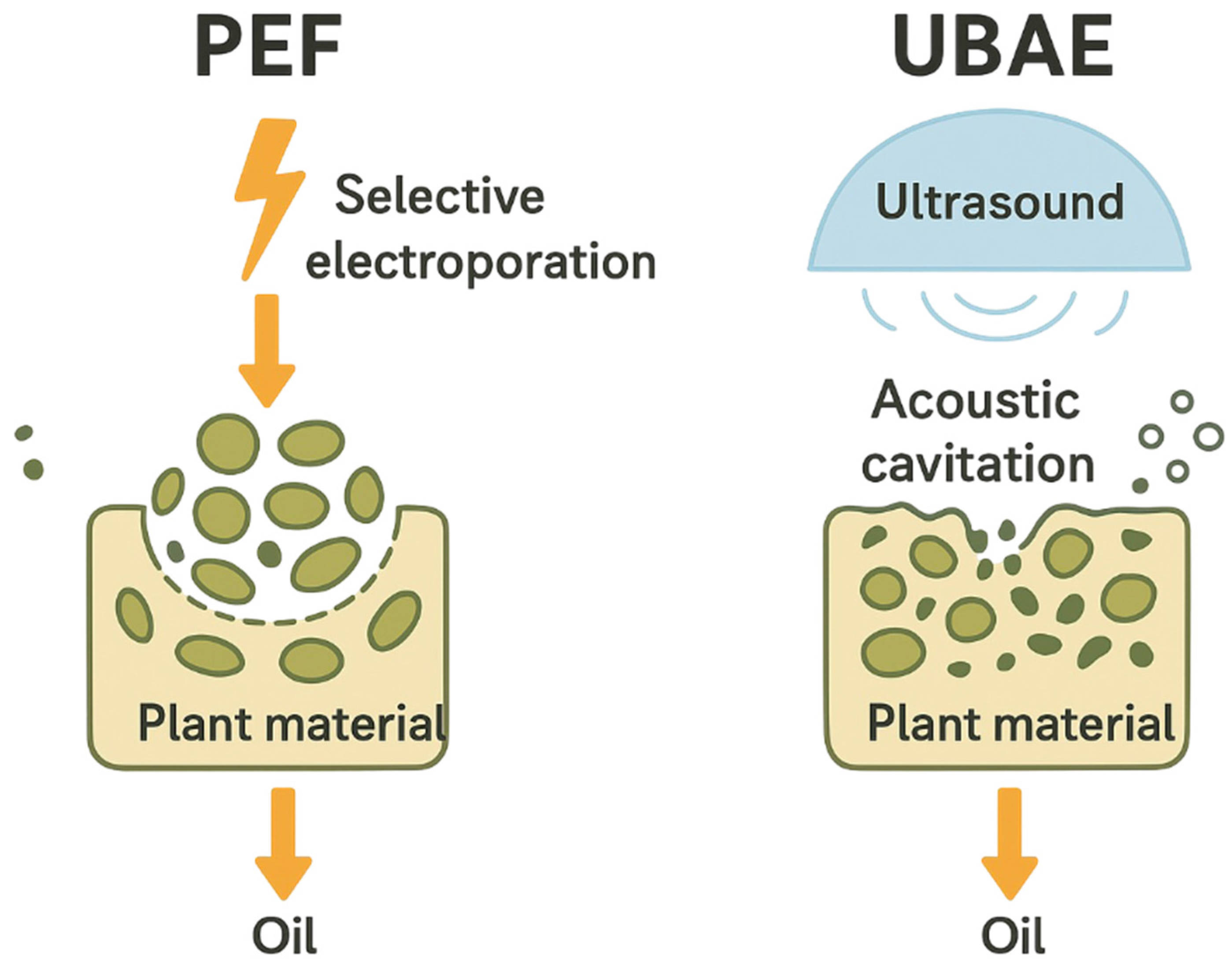 Foods 14 03653 g006 Foods 14 03653 g006