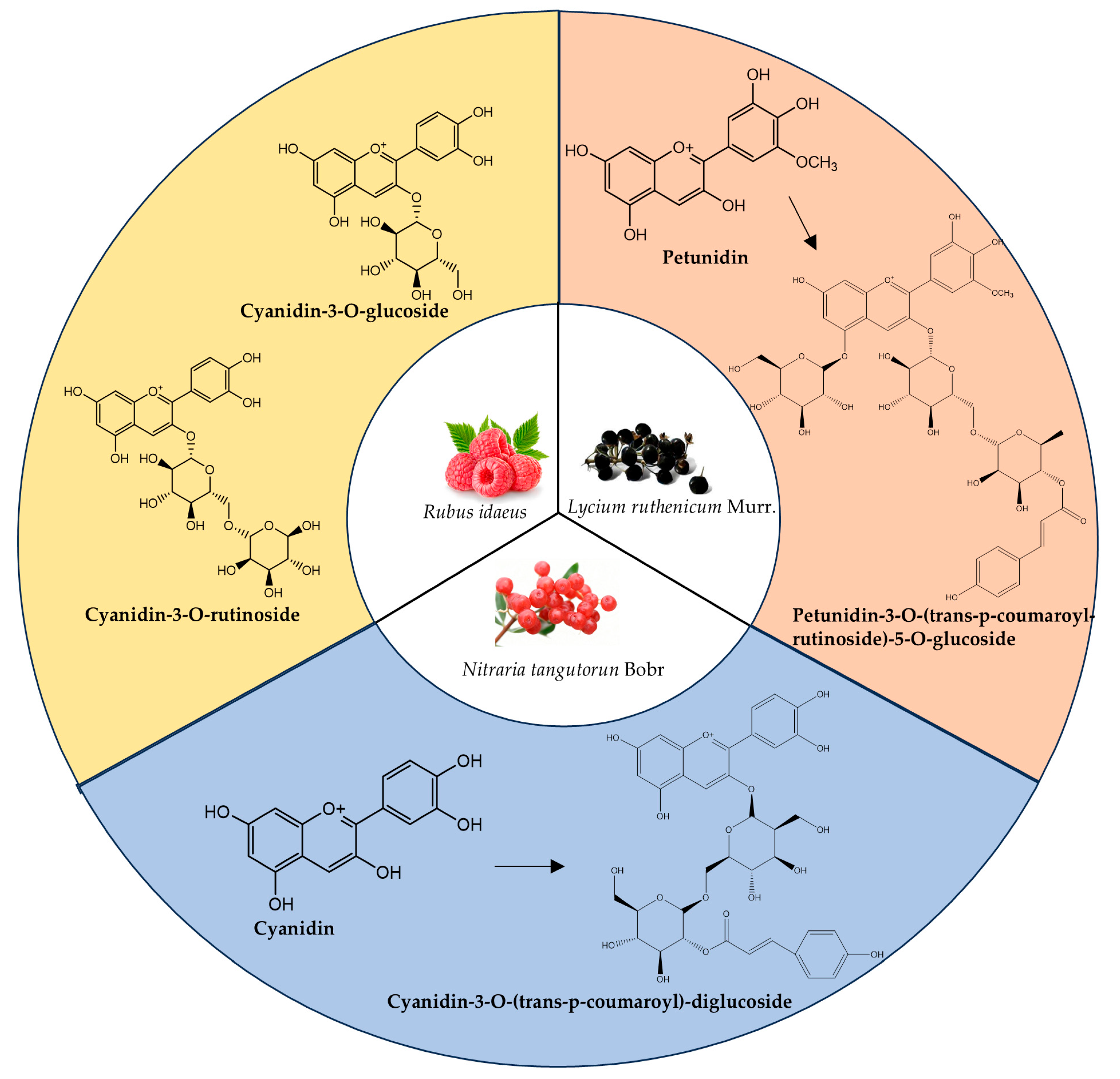 Foods 14 03660 g002 Foods 14 03660 g002