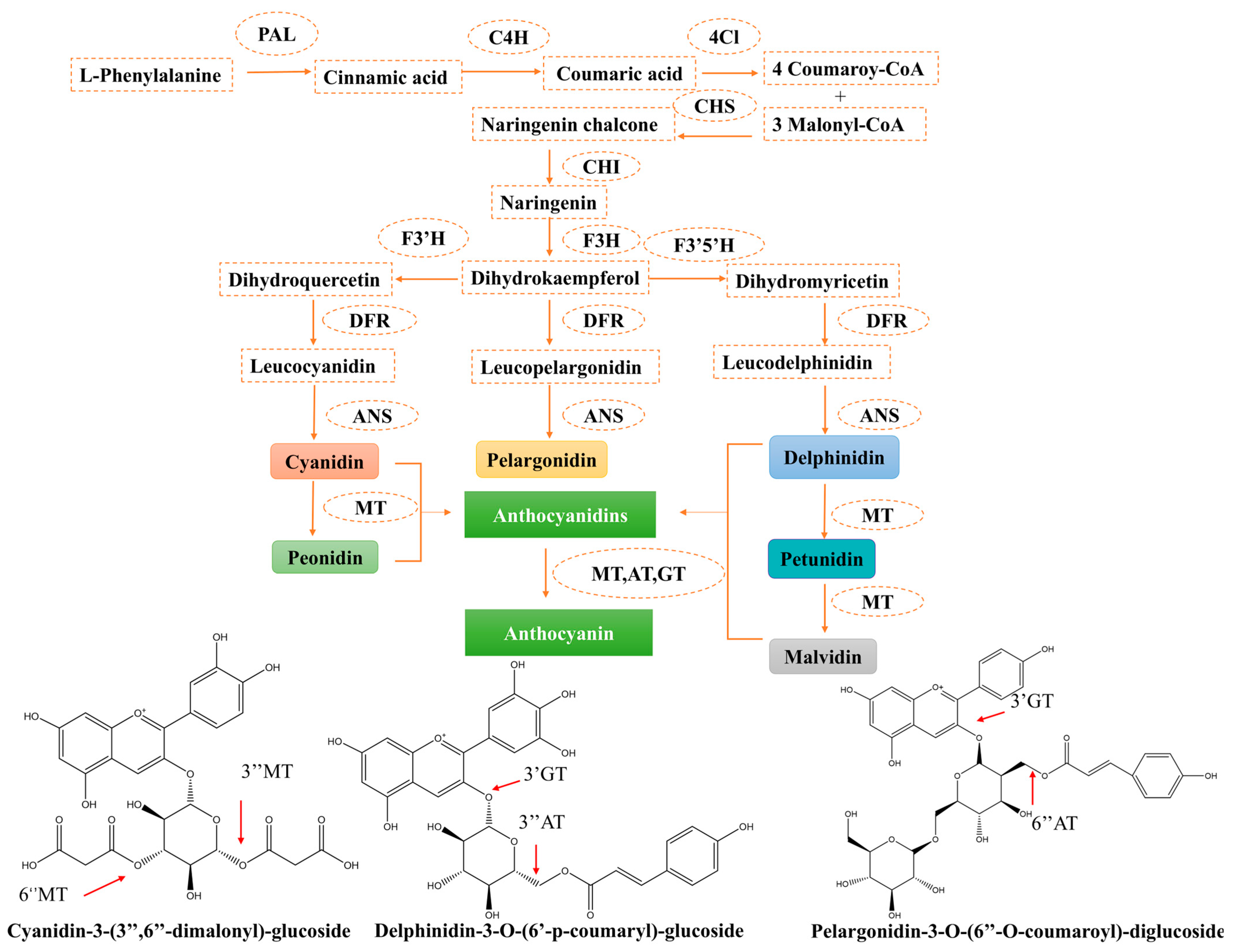 Foods 14 03660 g003 Foods 14 03660 g003