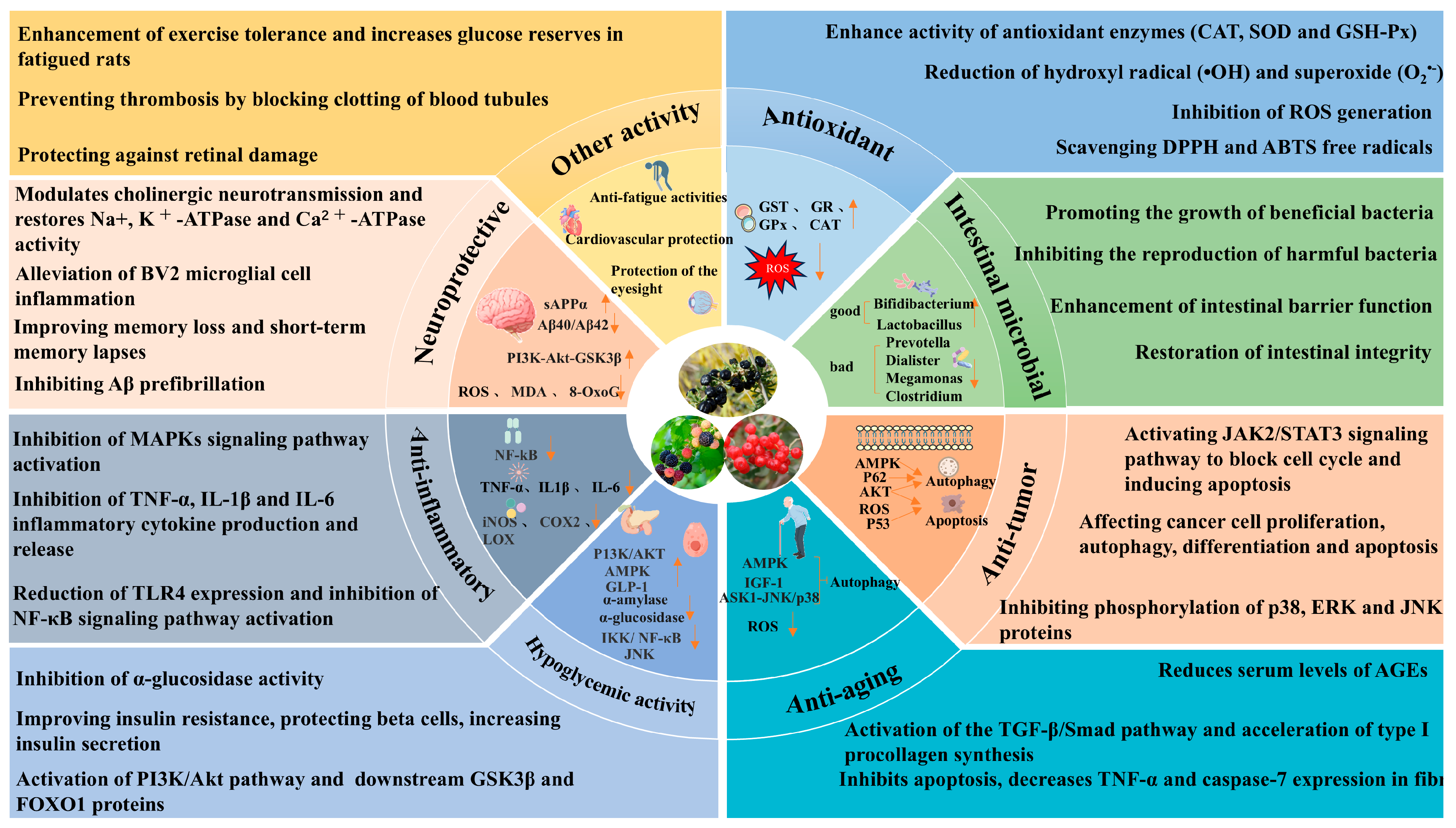 Foods 14 03660 g004 Foods 14 03660 g004