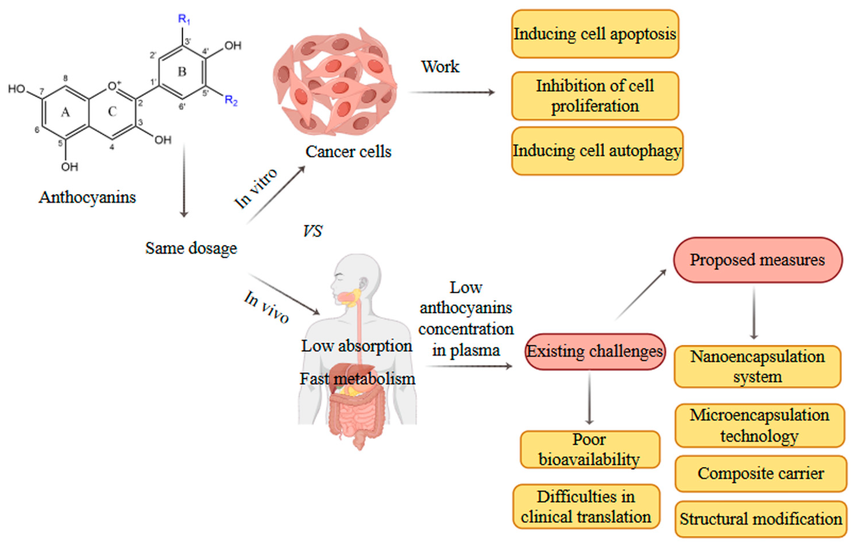 Foods 14 03660 g005 Foods 14 03660 g005