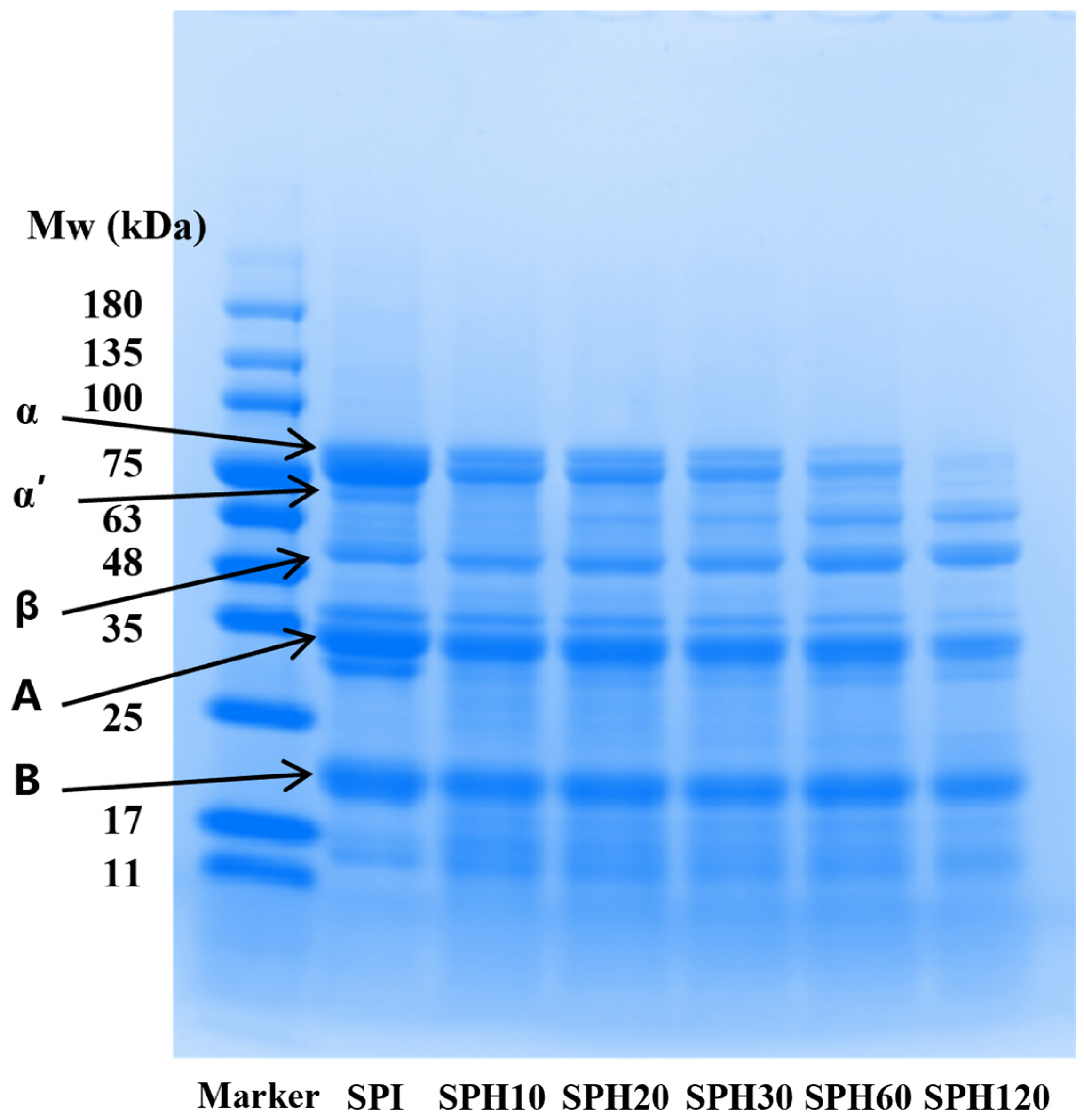 Foods 14 03662 g002 Foods 14 03662 g002