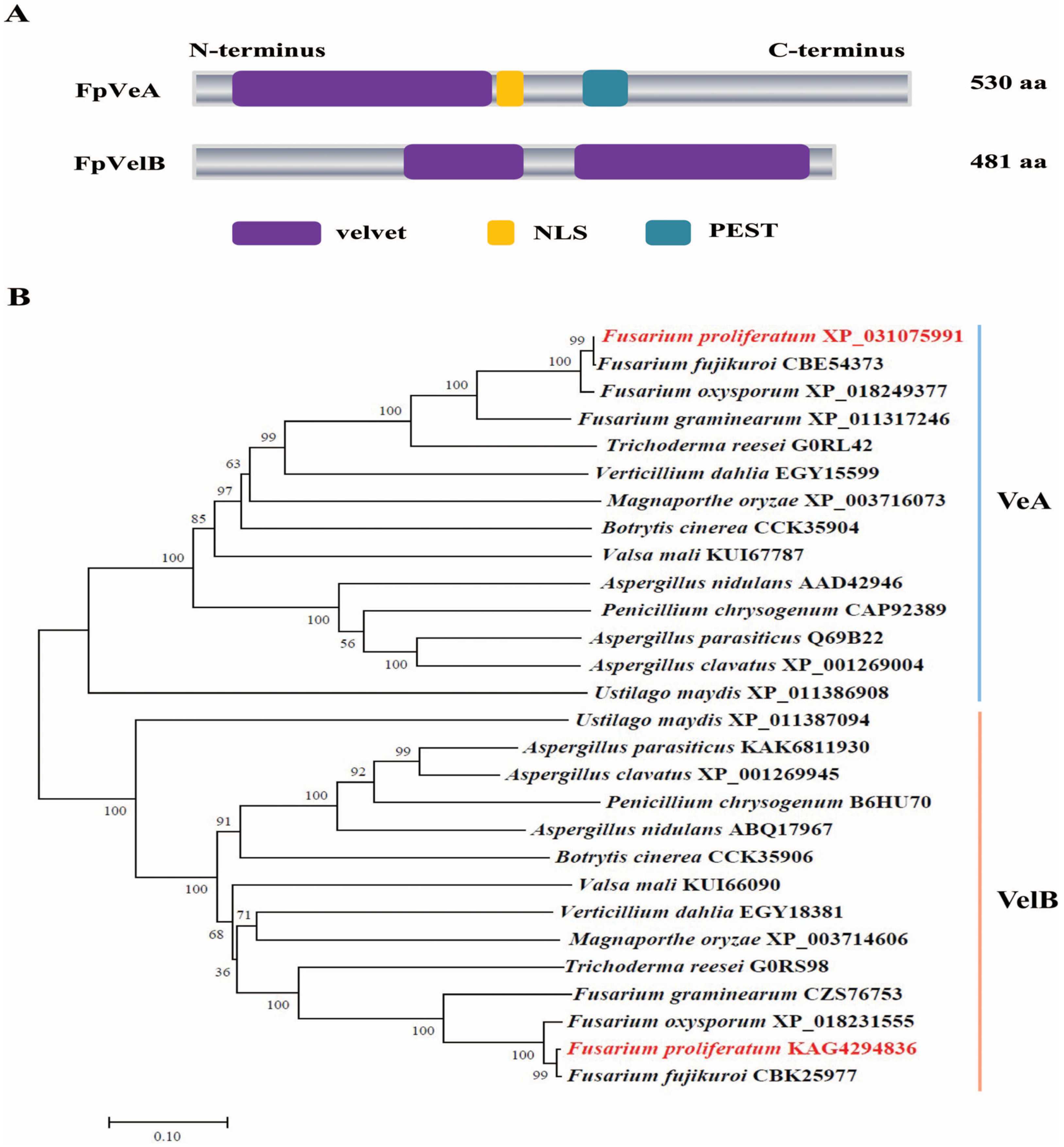 Foods 14 03666 g001 Foods 14 03666 g001