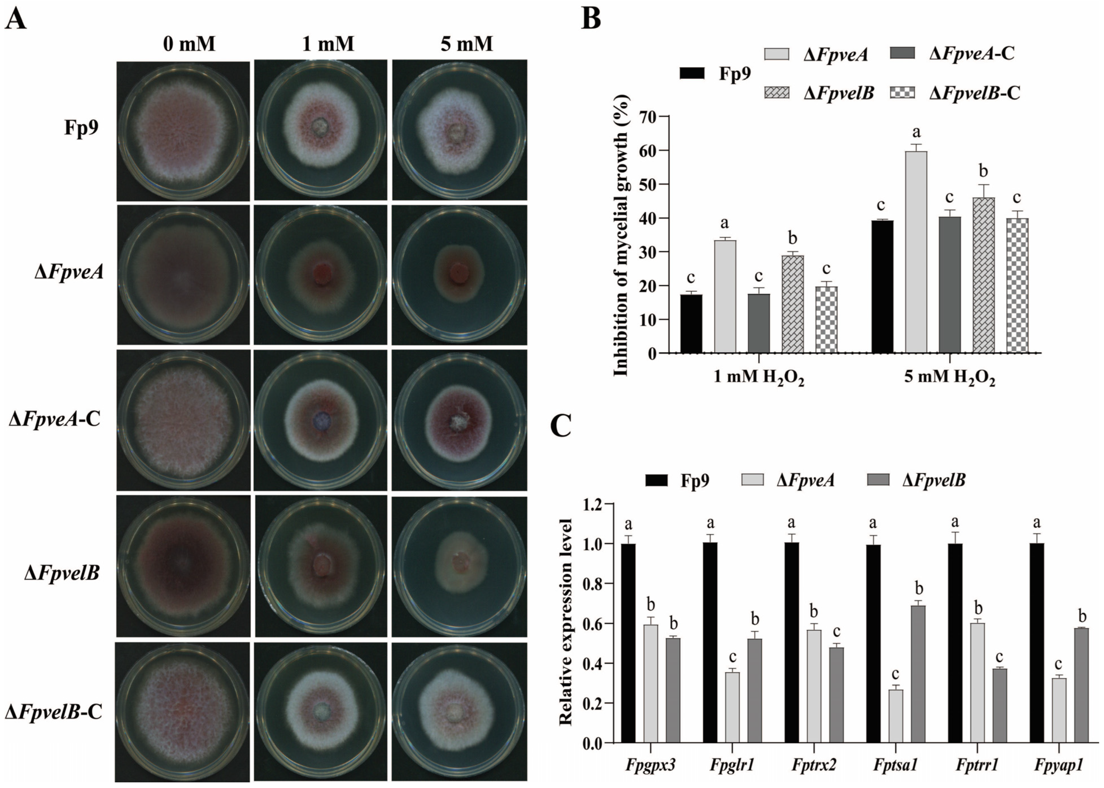 Foods 14 03666 g004 Foods 14 03666 g004