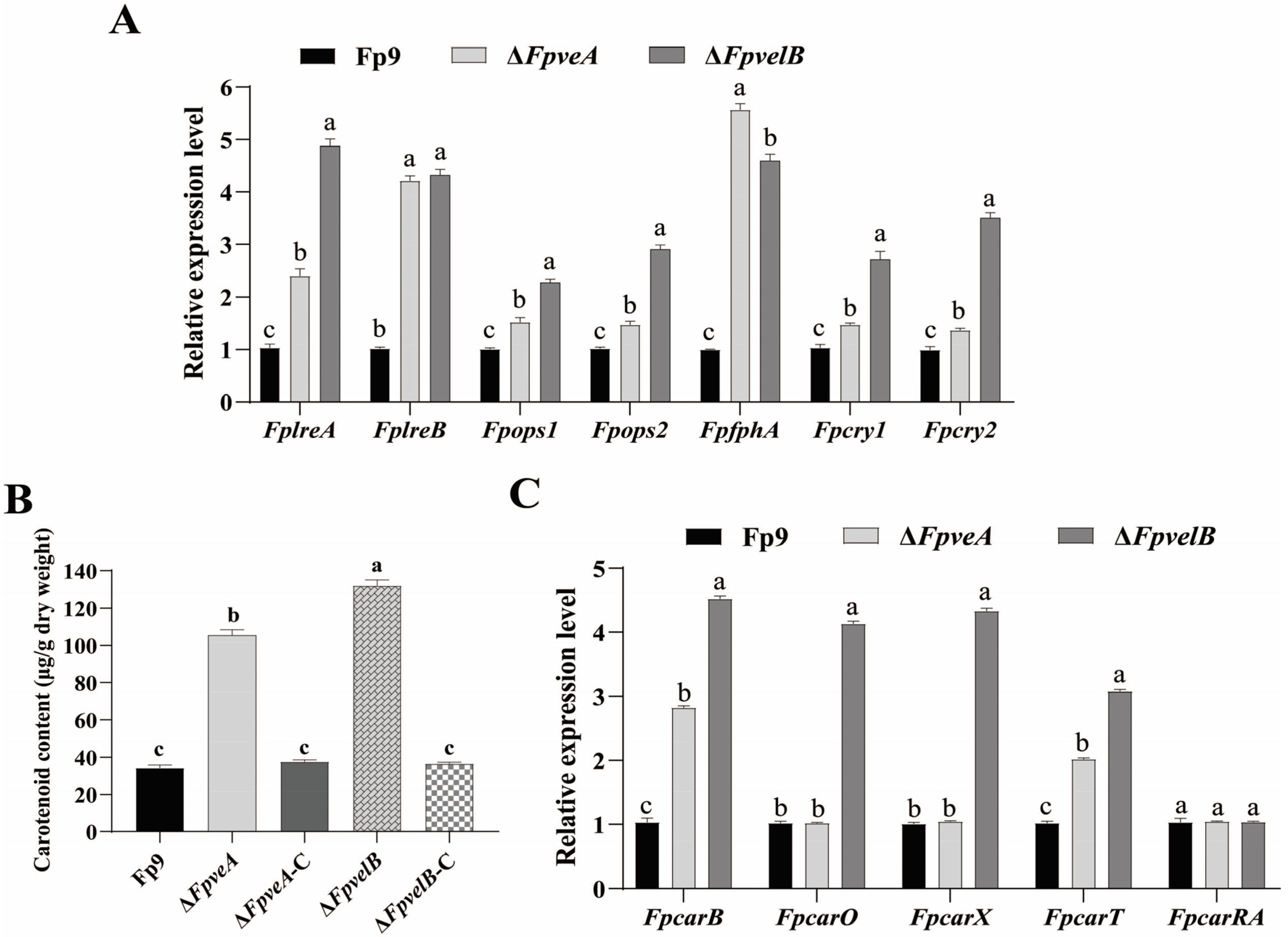 Foods 14 03666 g005 Foods 14 03666 g005