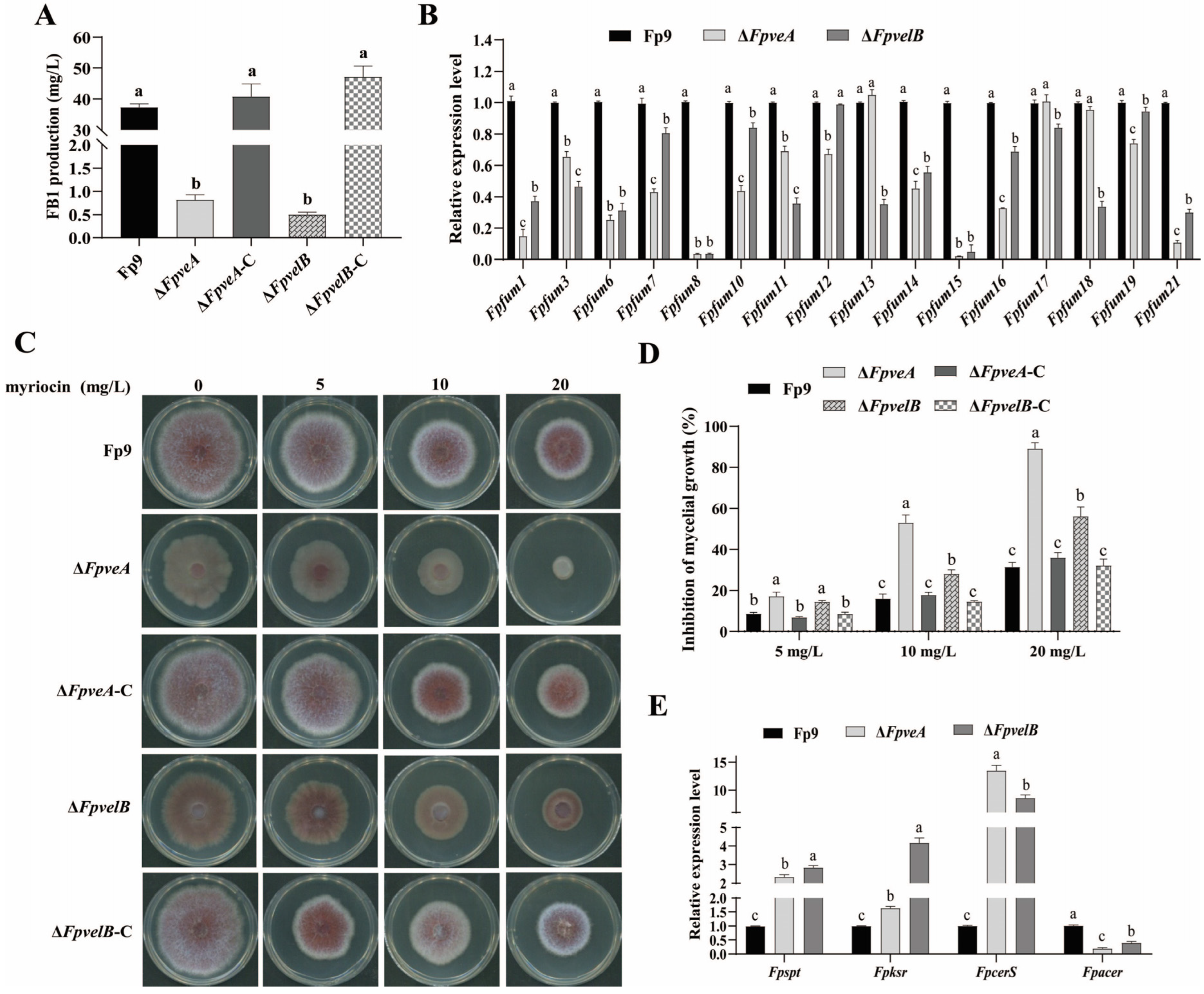 Foods 14 03666 g006 Foods 14 03666 g006