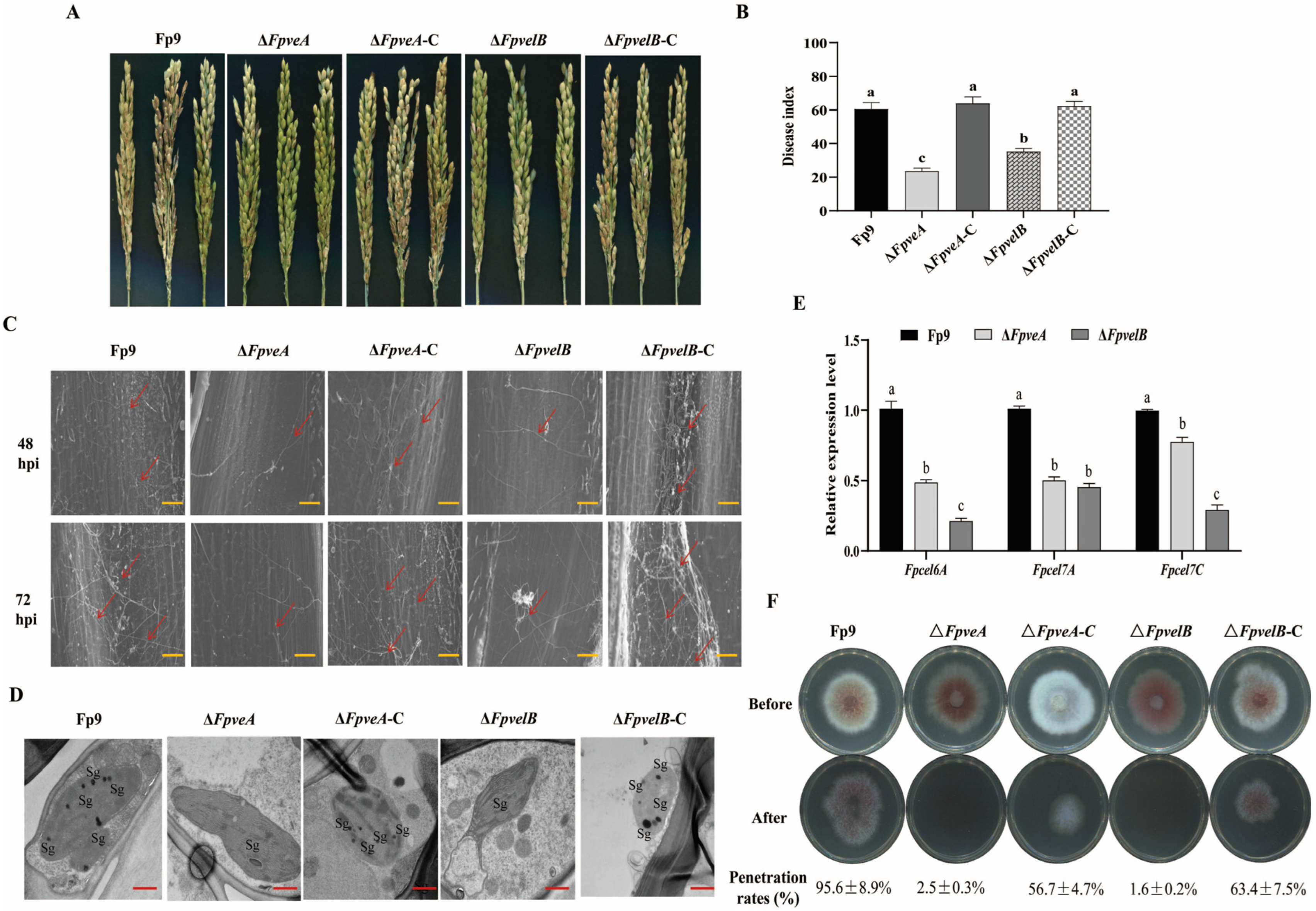 Foods 14 03666 g007 Foods 14 03666 g007