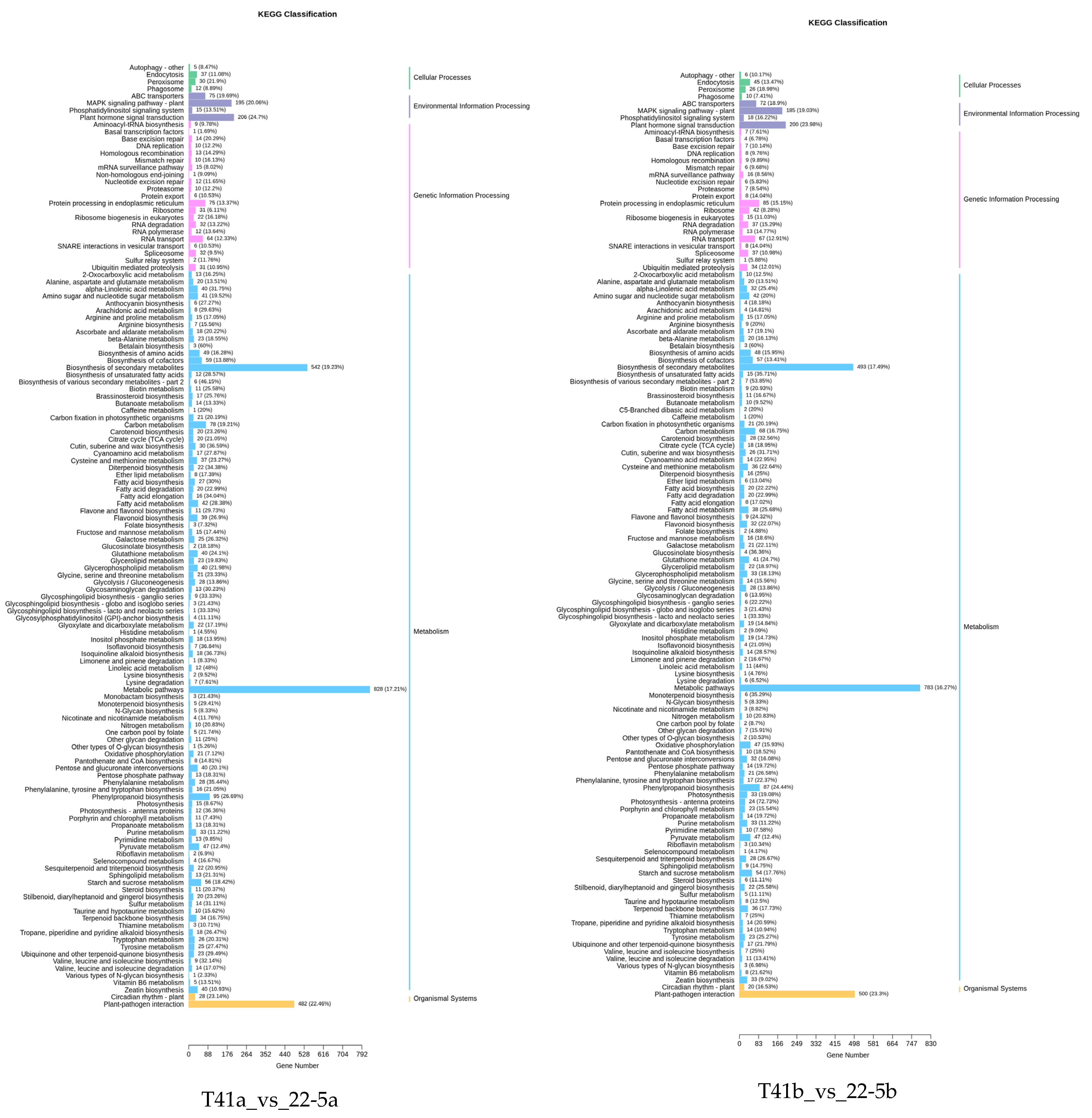 Foods 14 03675 g010b Foods 14 03675 g010b
