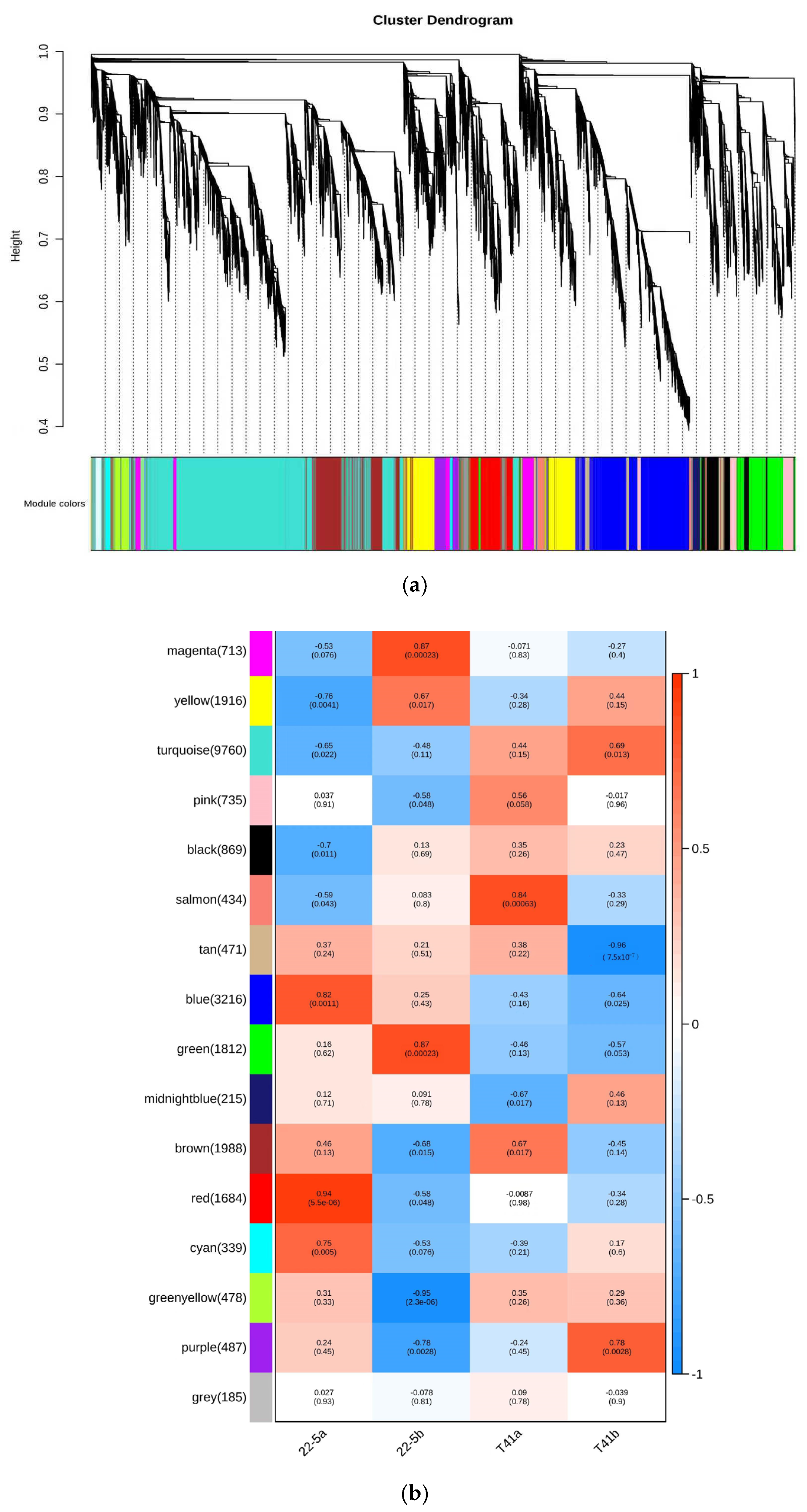 Foods 14 03675 g011 Foods 14 03675 g011