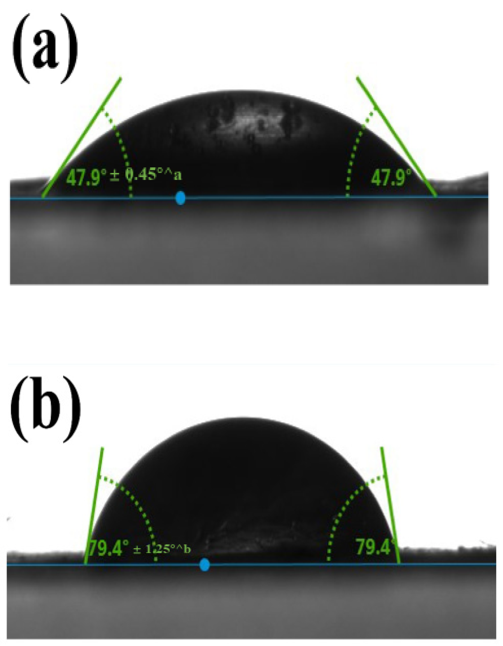 Foods 14 03677 g007a