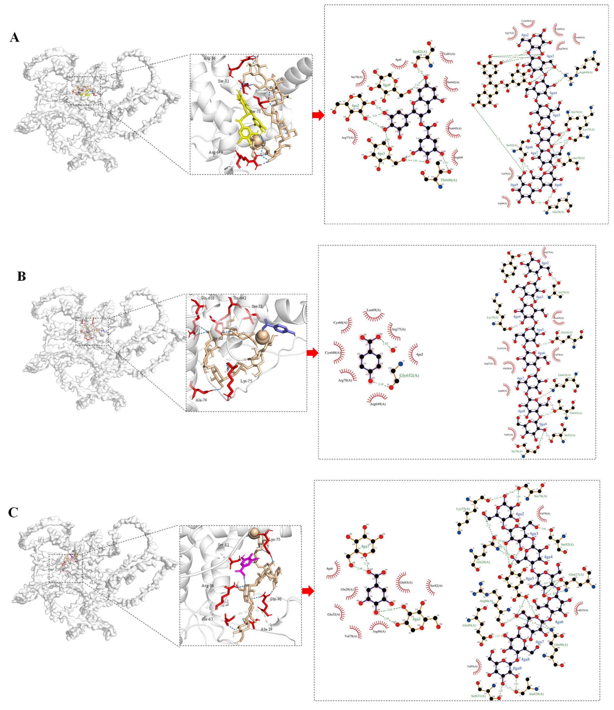 Foods 14 03679 g010a