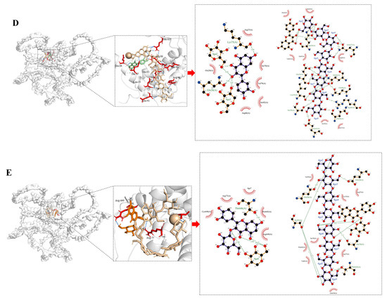 テレビ S 4K液晶テレビ TVS REGZA 液晶テレビ REGZA ( レグザ ) Z670R series