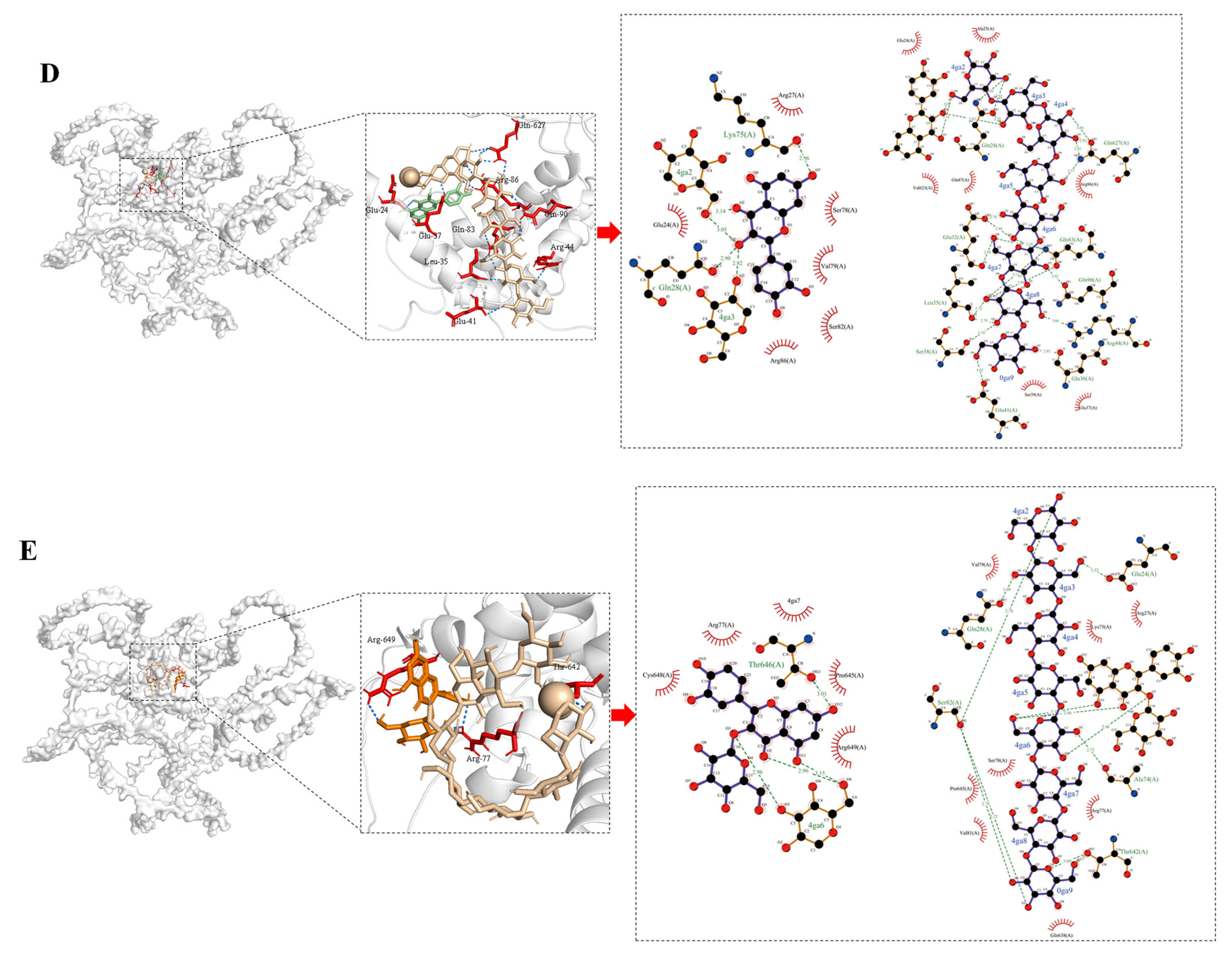 Foods 14 03679 g010b