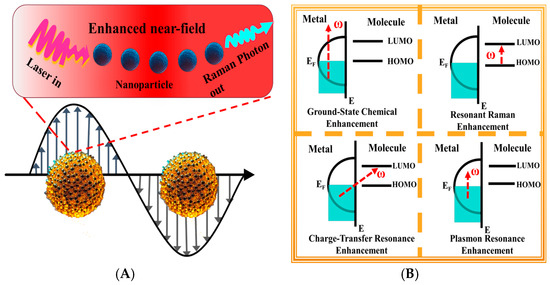 Recent Advances in SERS-Based Detection of Organophosphorus