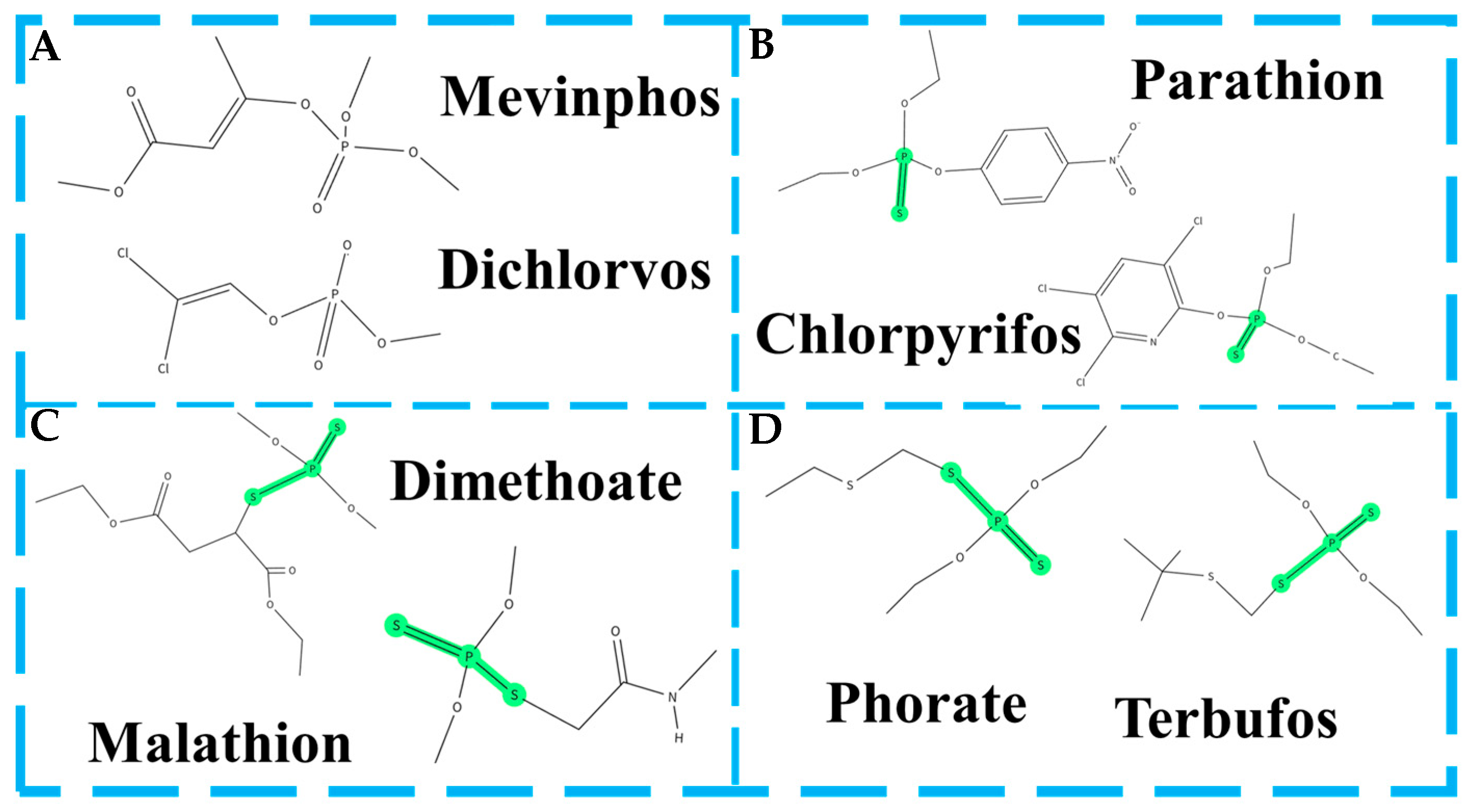 Foods 14 03683 g005 Foods 14 03683 g005