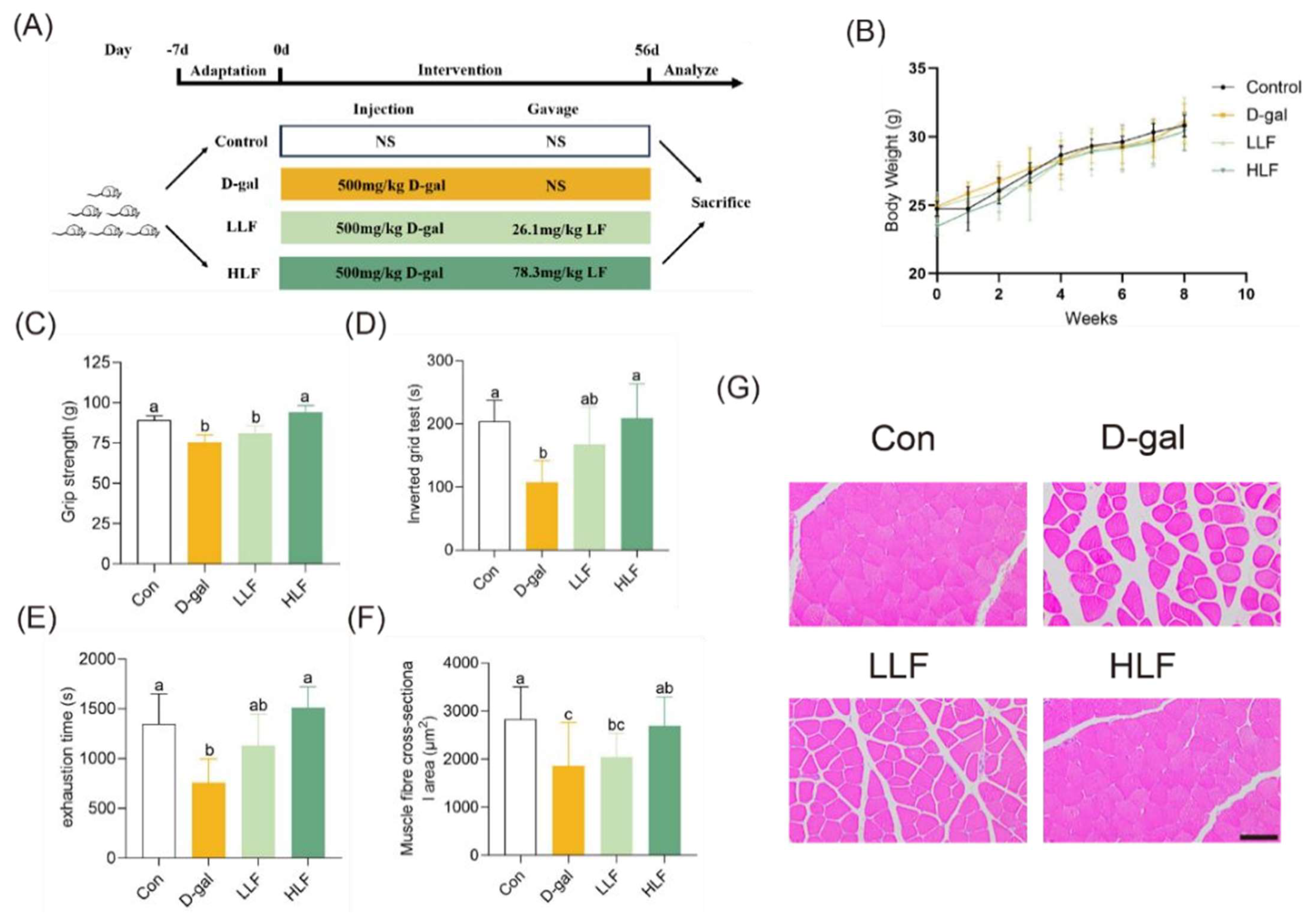 Foods 14 03684 g001 Foods 14 03684 g001
