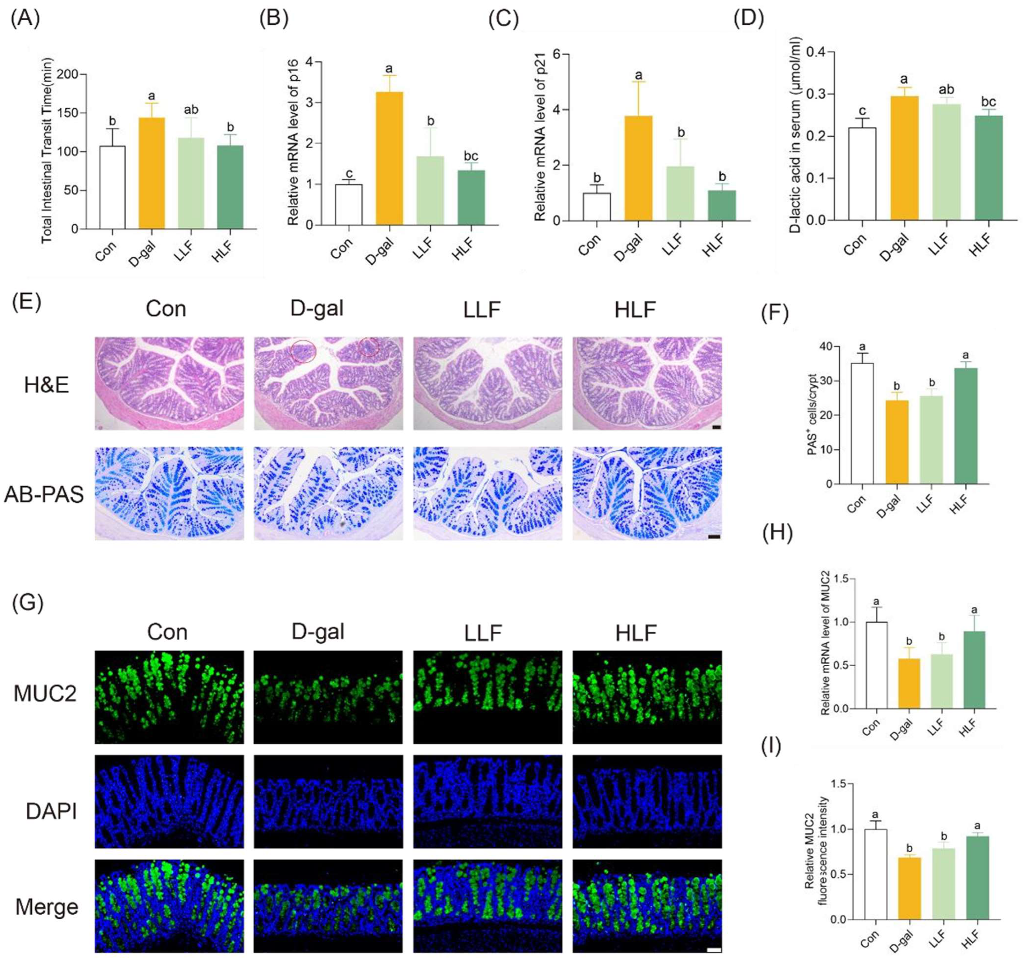 Foods 14 03684 g002 Foods 14 03684 g002