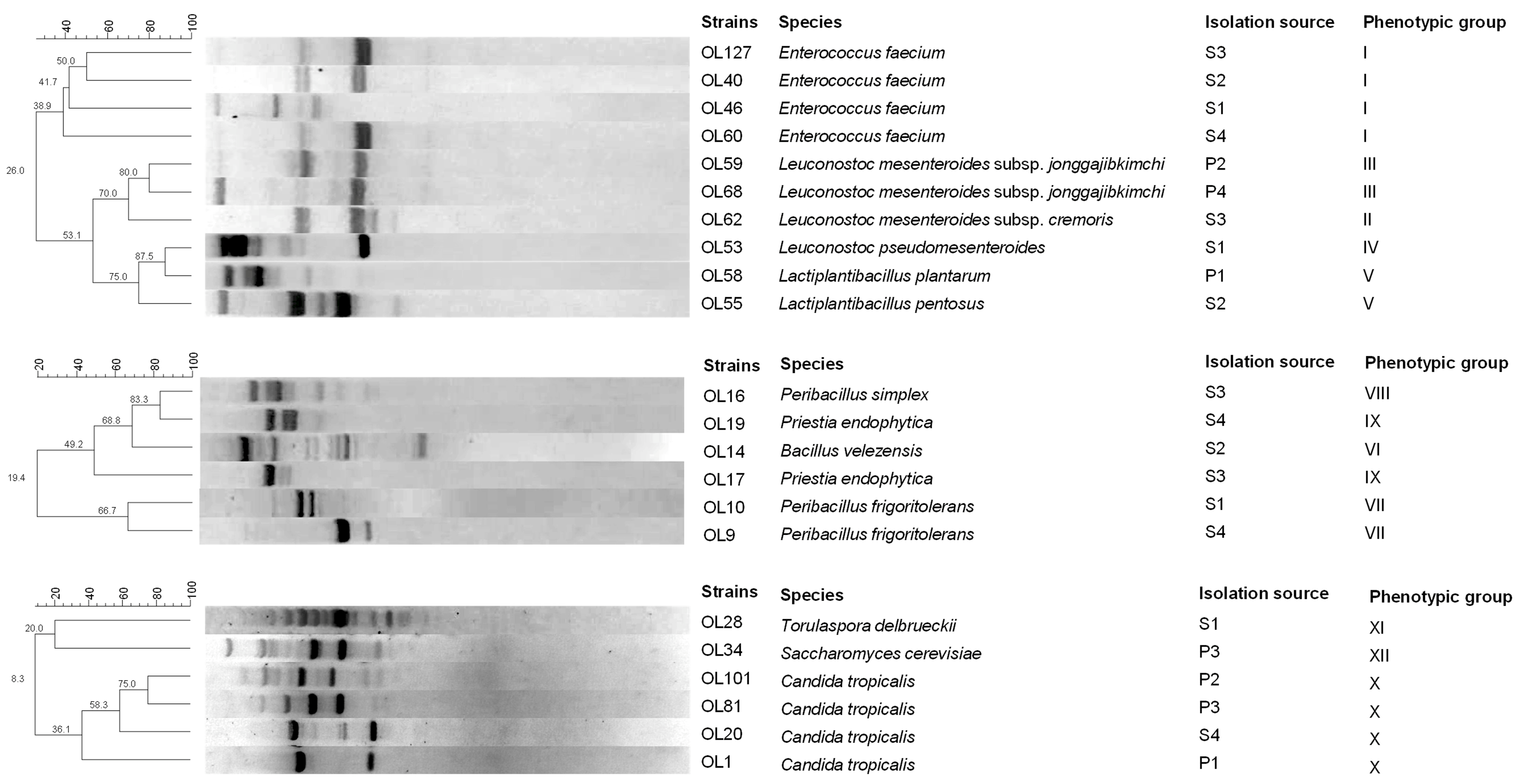 Foods 14 03689 g001 Foods 14 03689 g001