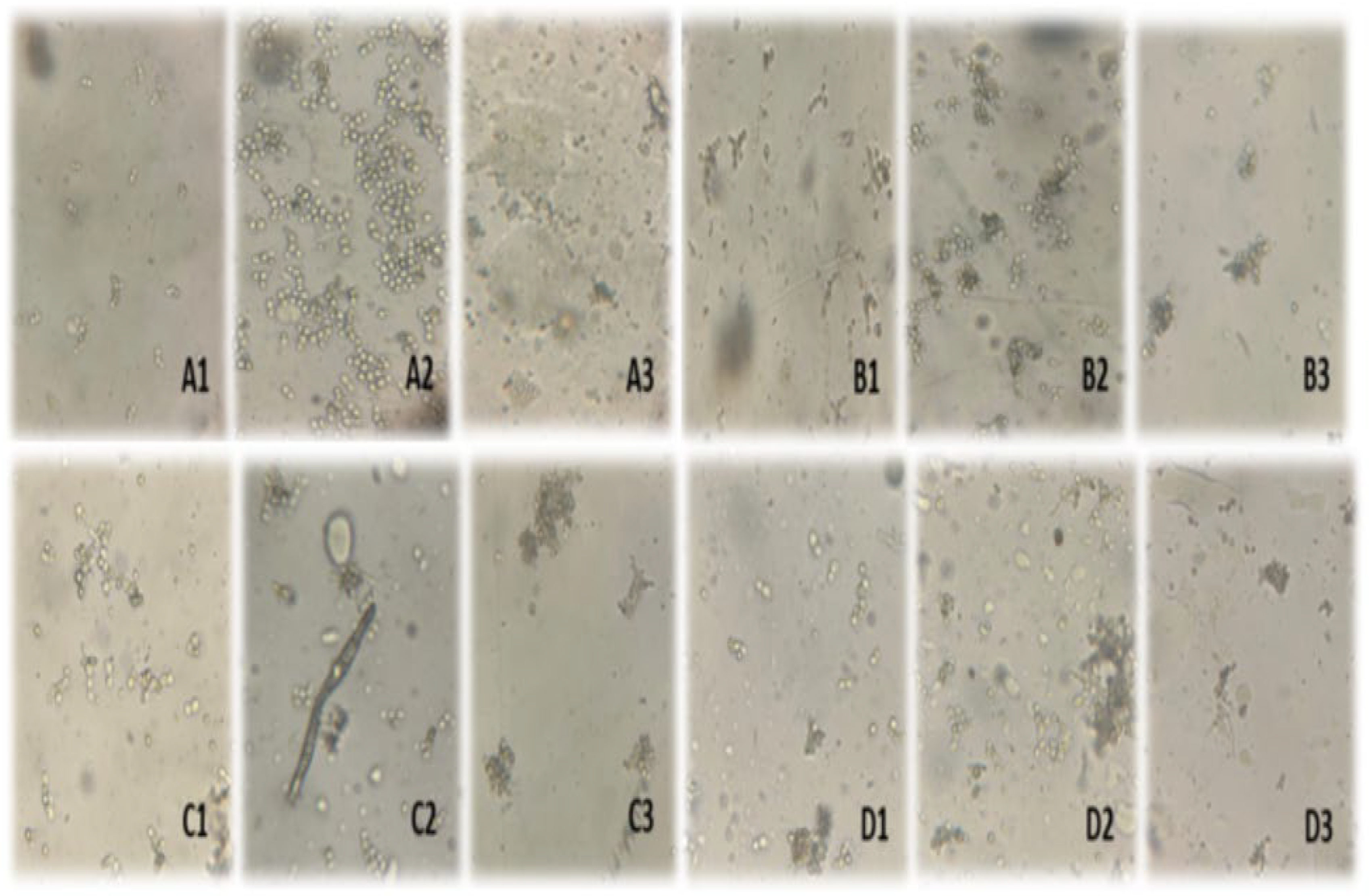 Foods 14 03696 g003 Foods 14 03696 g003