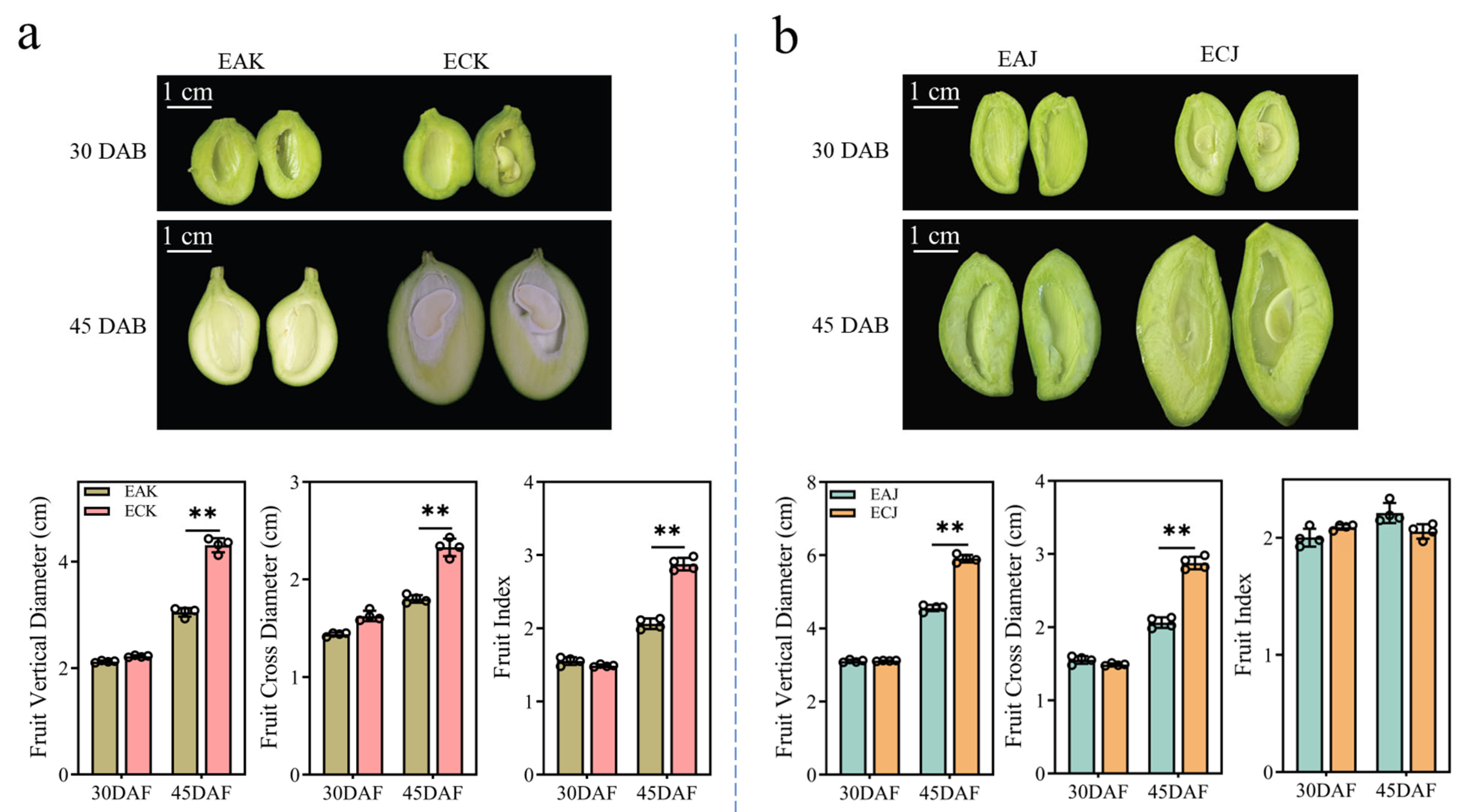 Foods 14 03705 g001 Foods 14 03705 g001