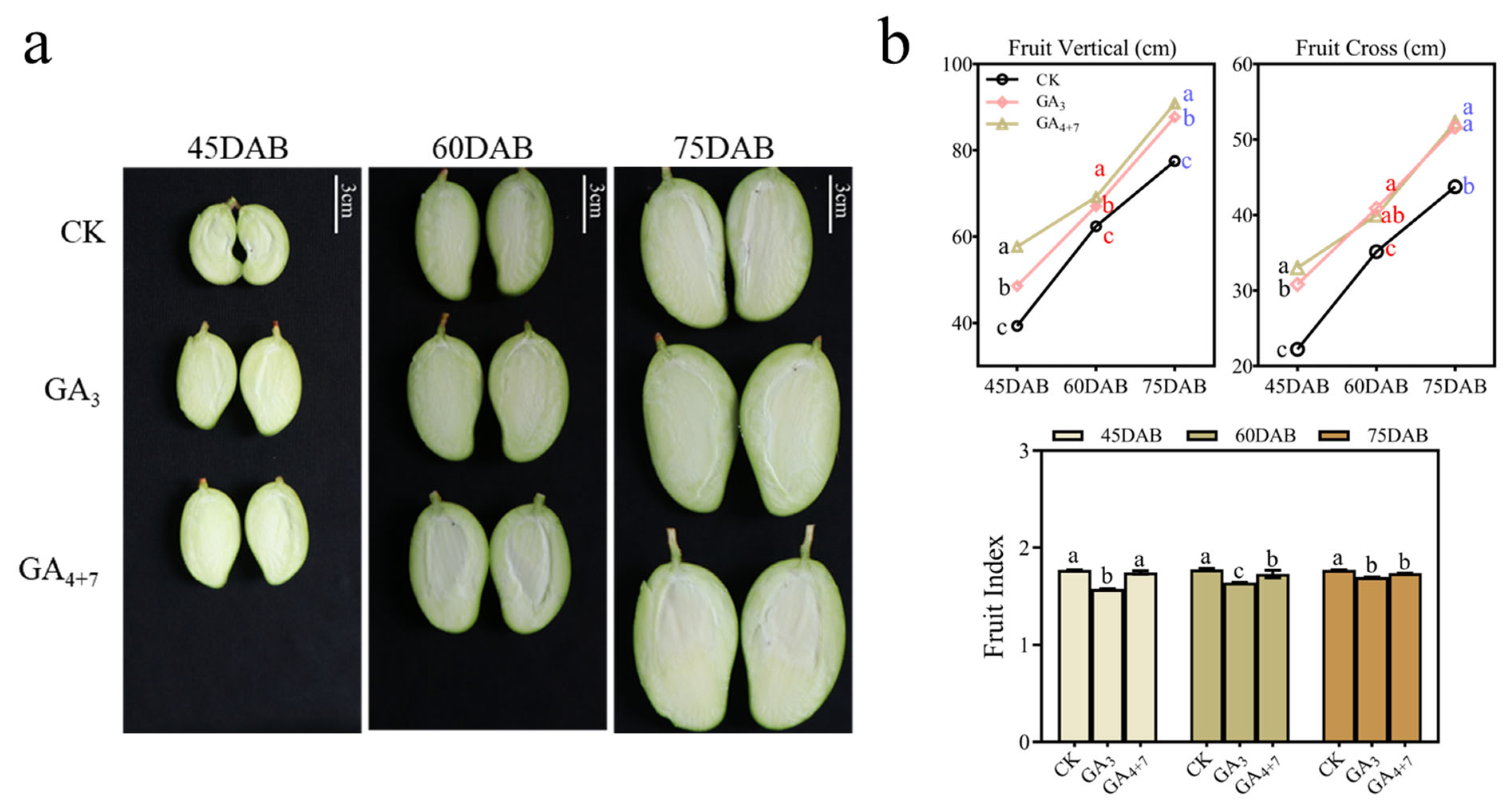 Foods 14 03705 g003 Foods 14 03705 g003